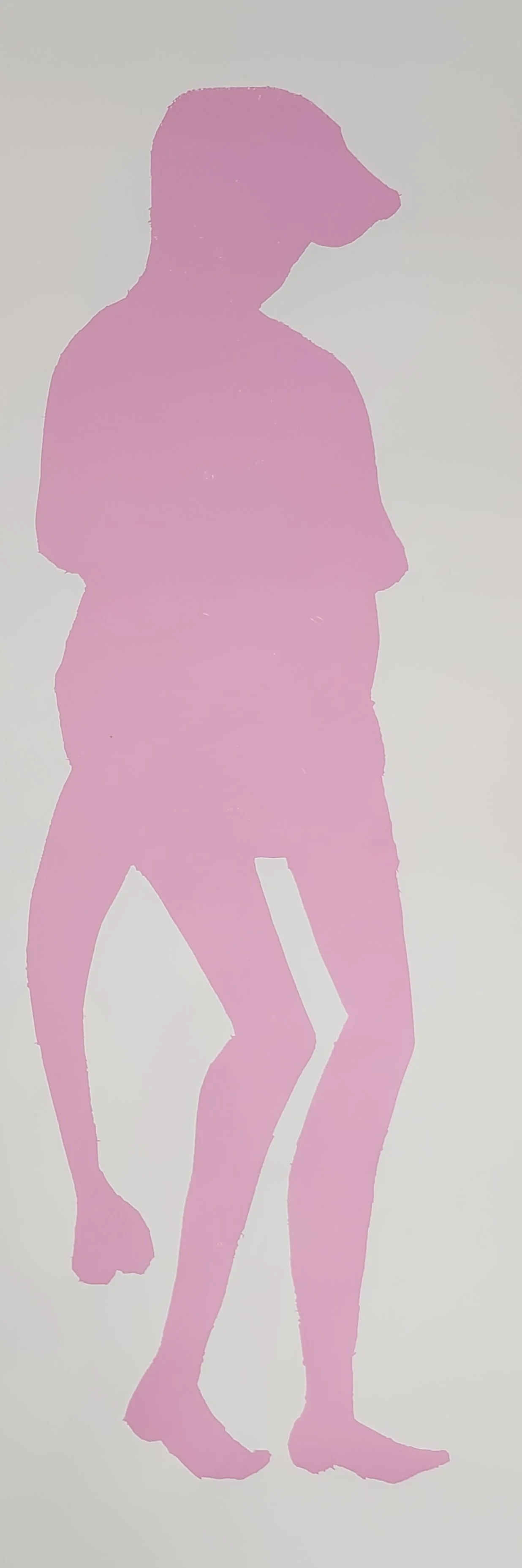 Fink Silhouette (Pink)