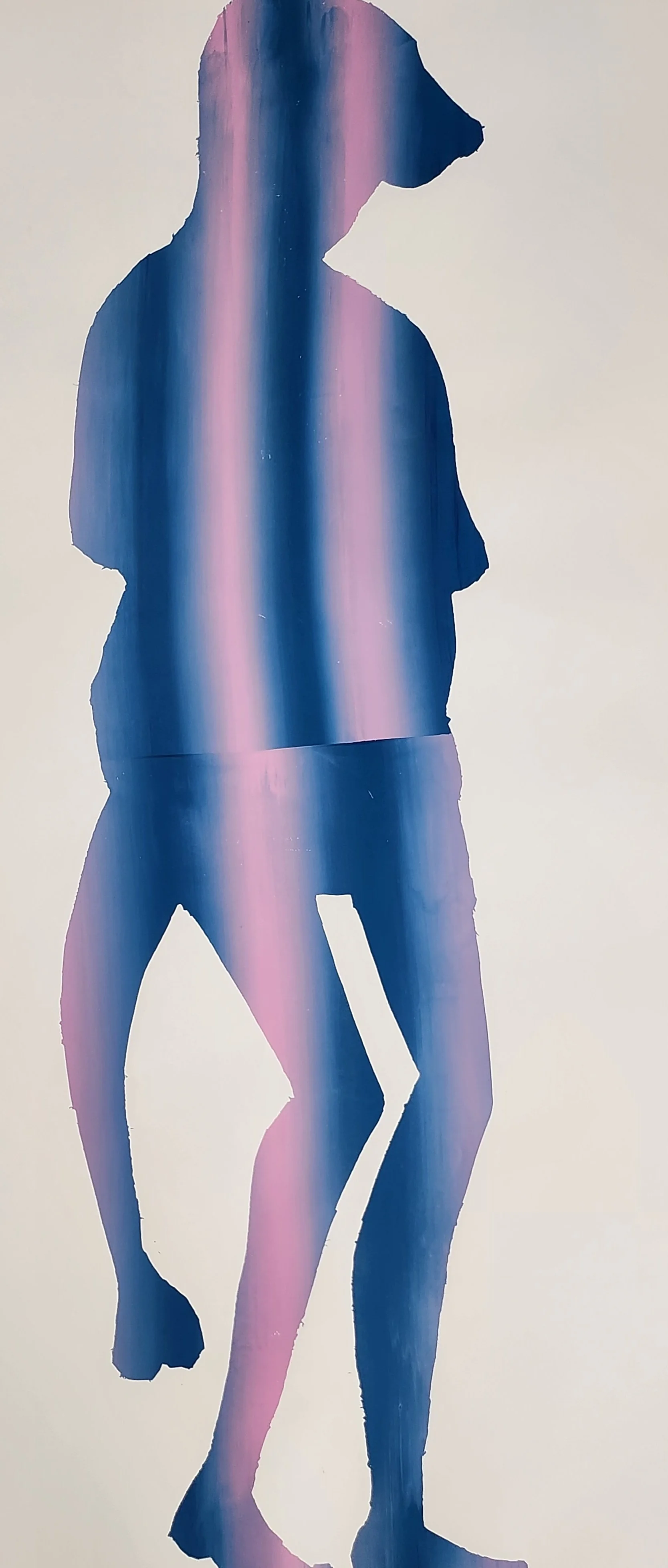 Fink Silhouette (Split)