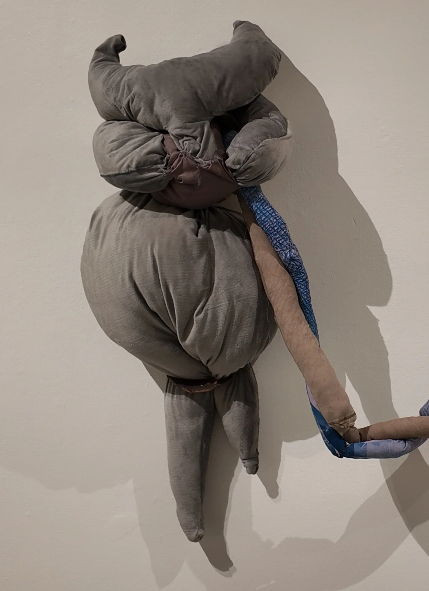 Dessicated Fink (Temporarily Embarrassed)