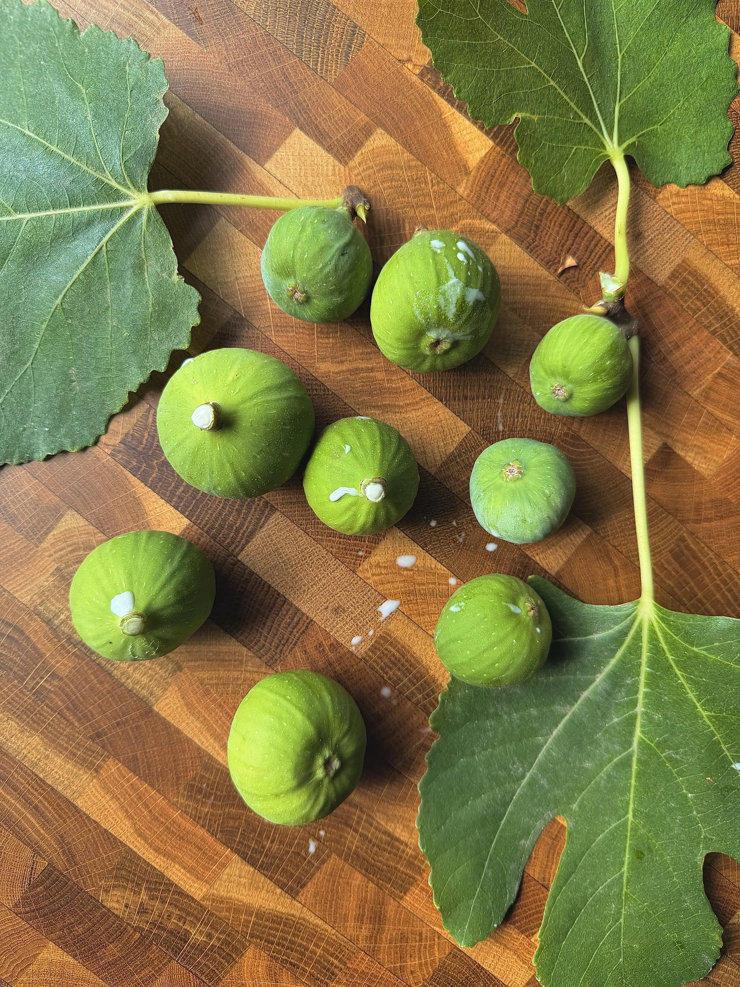 Sykalaki Glyko 2.jpg