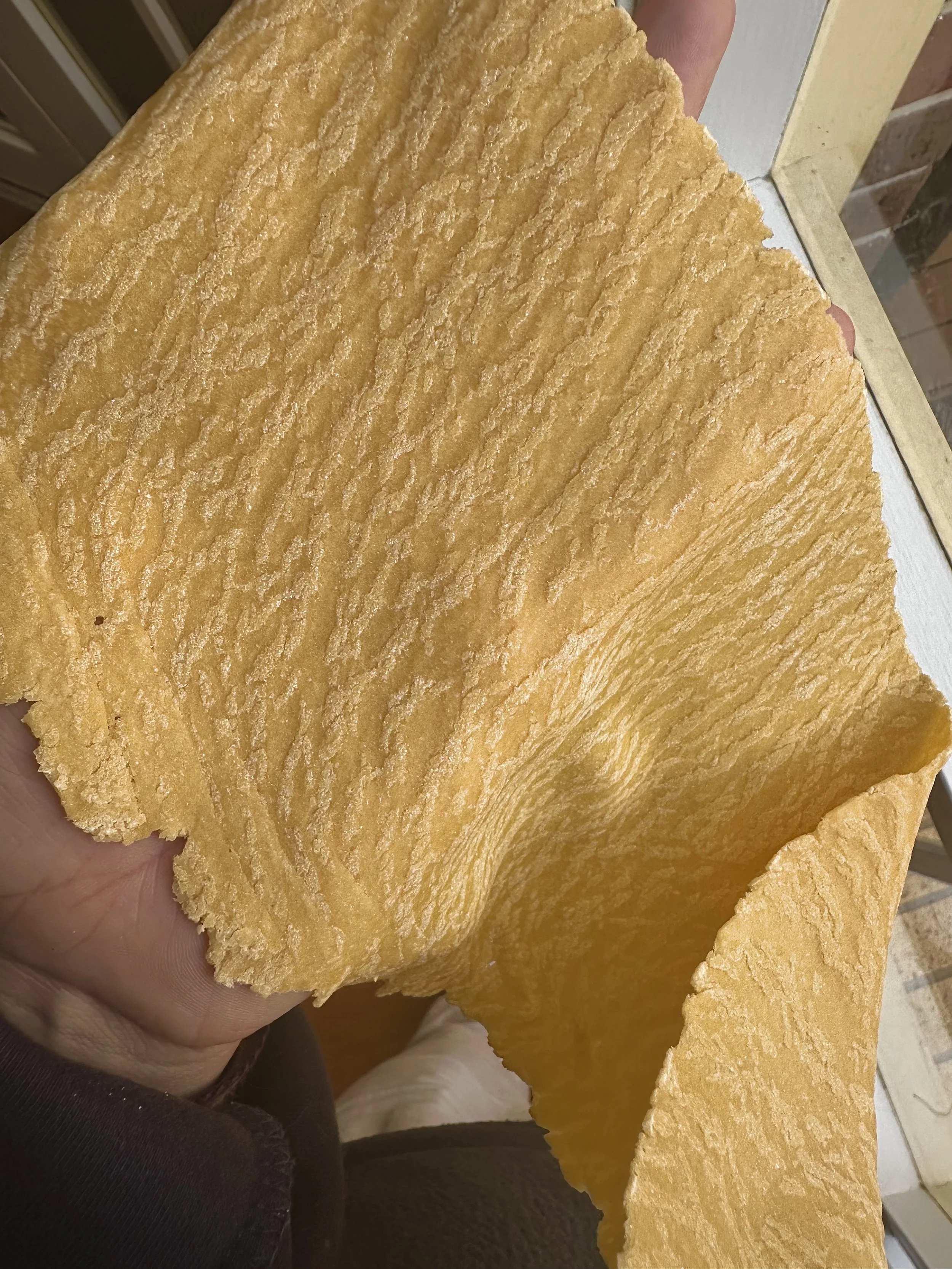 Ruvida, Zucchini & Squash 4.jpg