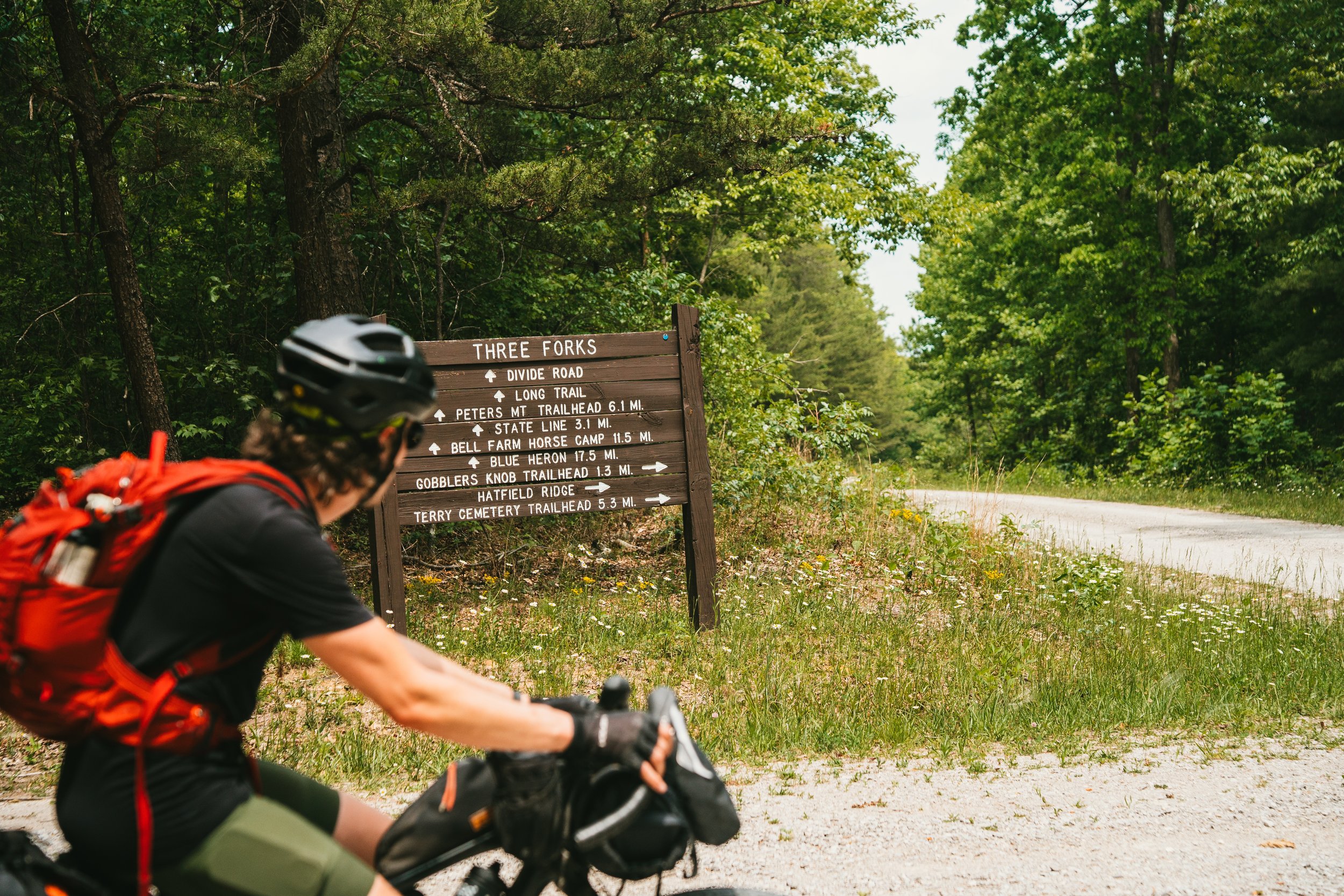BikeTN-BSF-15.jpg