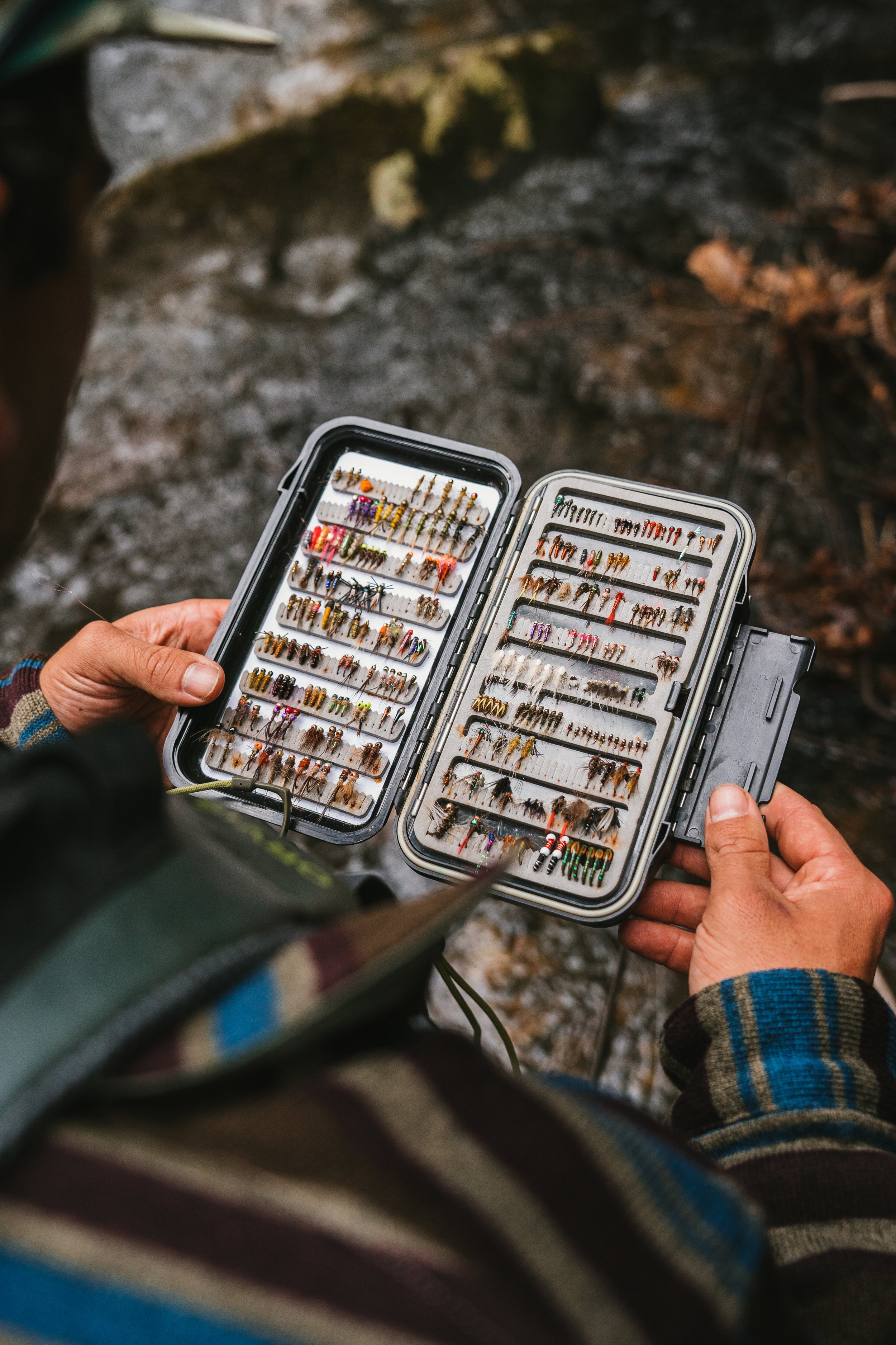 SCOF - Trout4.jpg