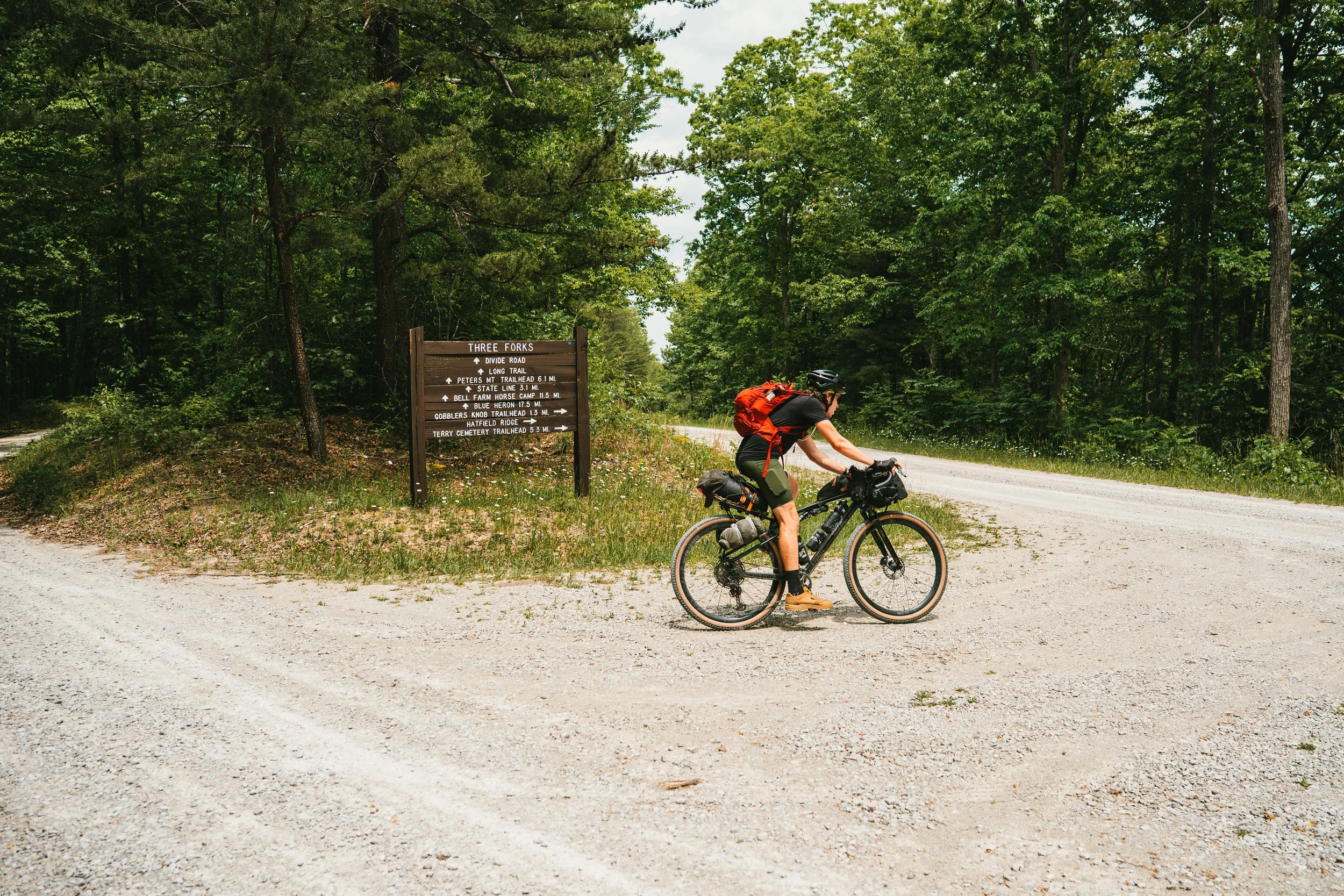 BikeTN-BSF-14.jpg