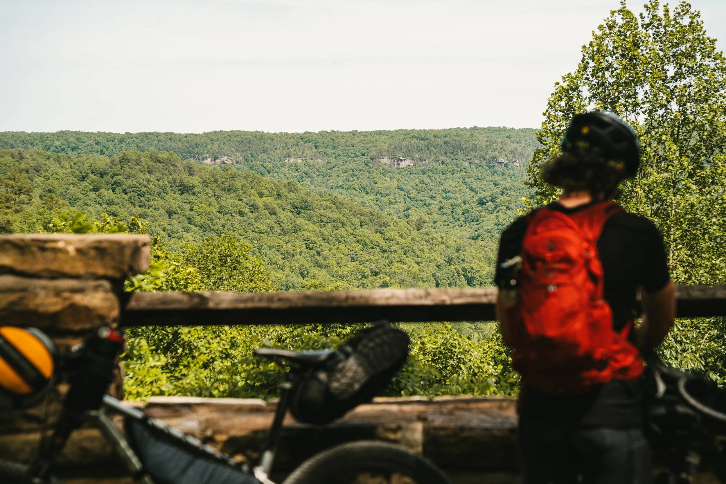 BikeTN-BSF-2.jpg