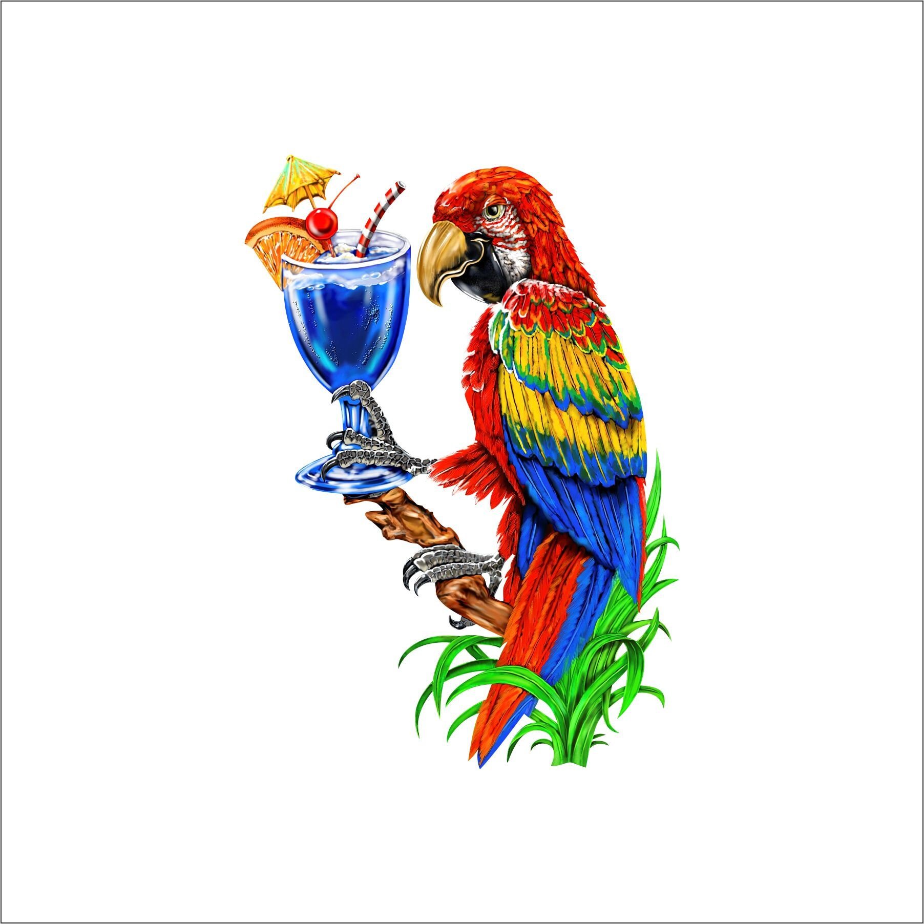 https://i.etsystatic.com/10353032/r/il/cc3dc6/1580980941/il_fullxfull.1580980941_qhtw.jpg