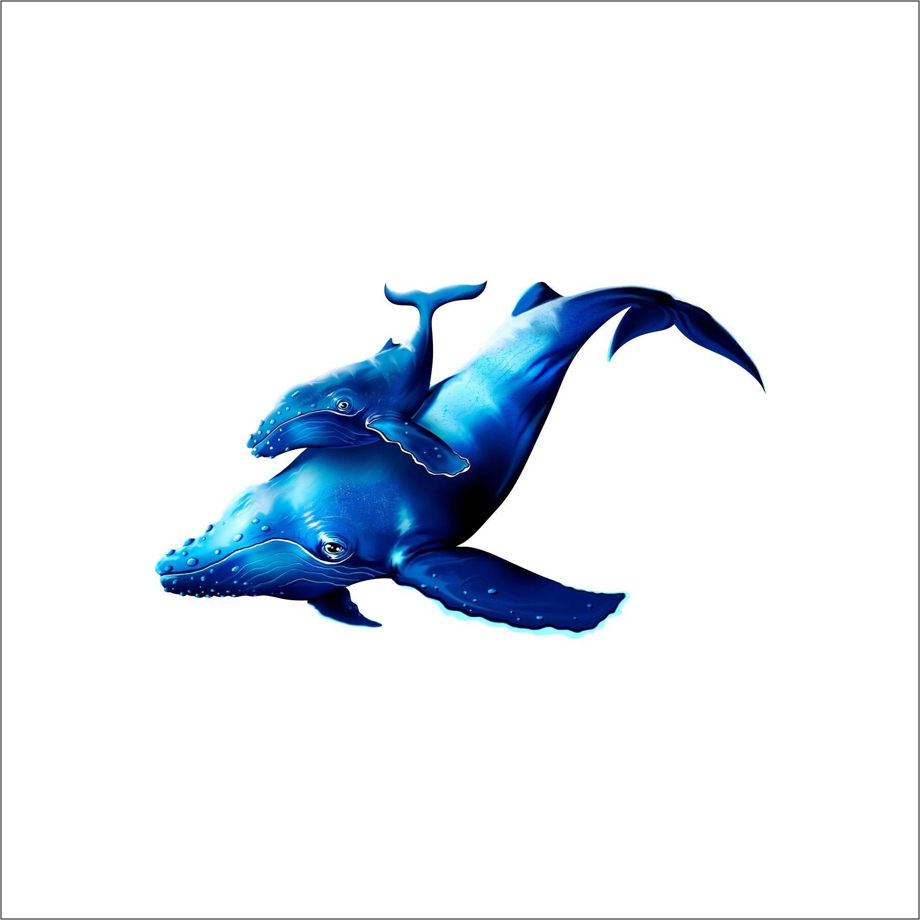 https://i.etsystatic.com/10353032/r/il/80ddc9/1933275024/il_fullxfull.1933275024_ny5p.jpg
