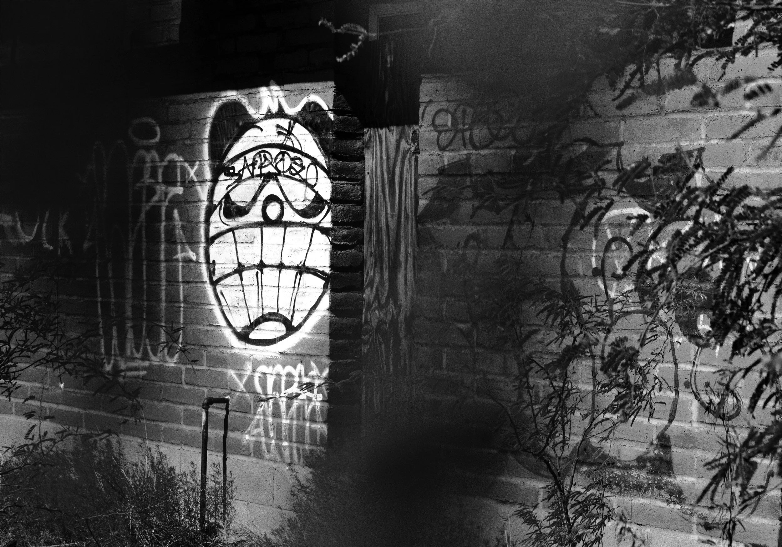 Close up Gerfiti BW.jpg