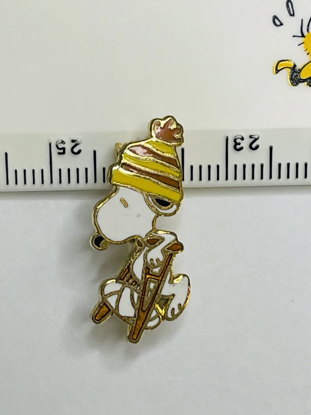 IMG_8988.jpeg?format=1000w