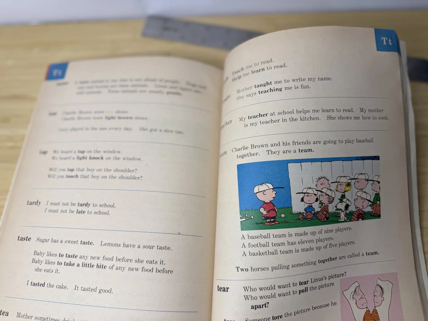チャリーブラウン ディクショナリー チャリーブラウン ディクショナリー Charlie Brown Dictionary