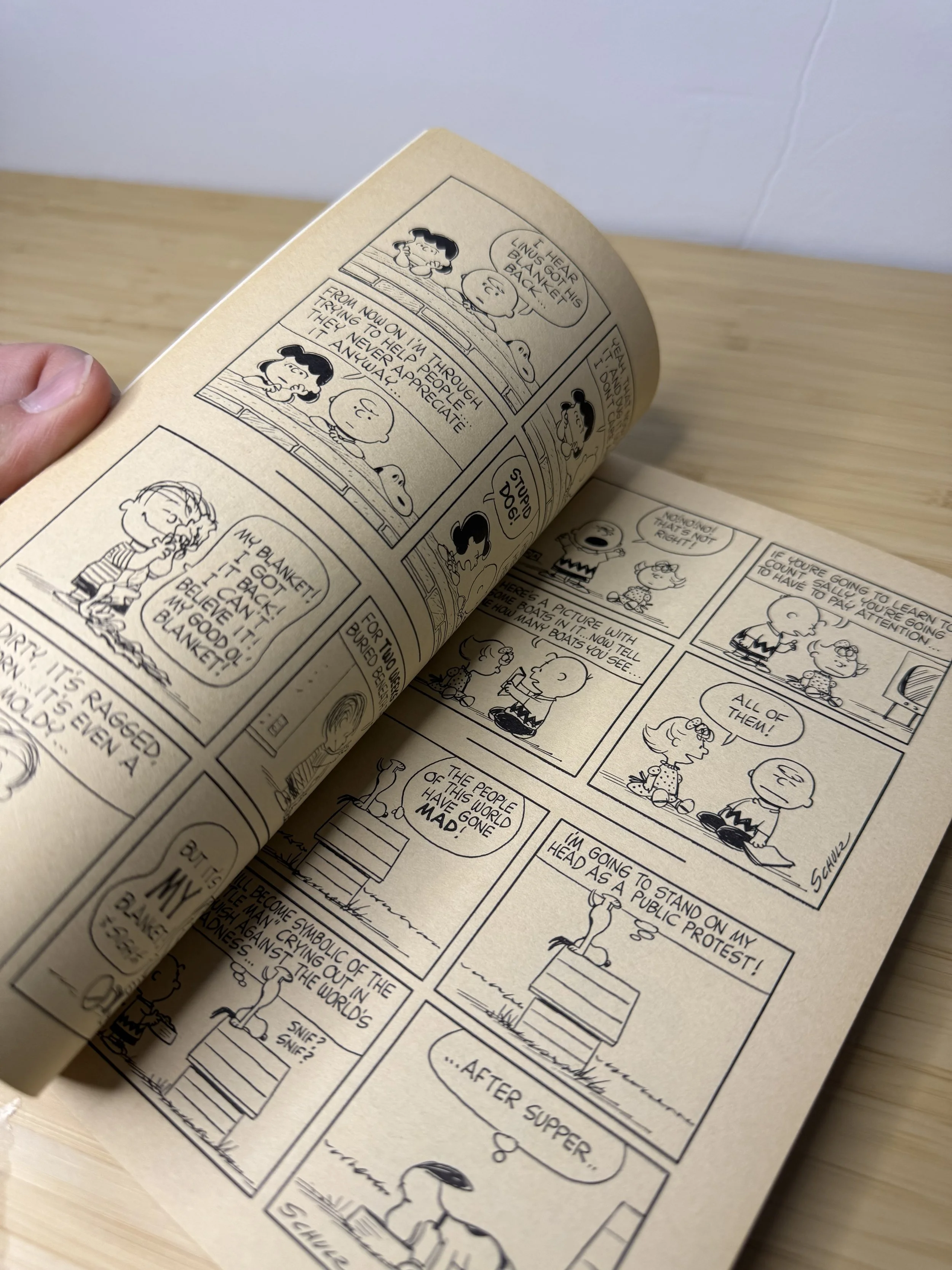 チャーリーブラウンディクショナリー　CharlieBrownDictionary スヌーピー☆チャーリー・ブラウン ディクショナリー大型本