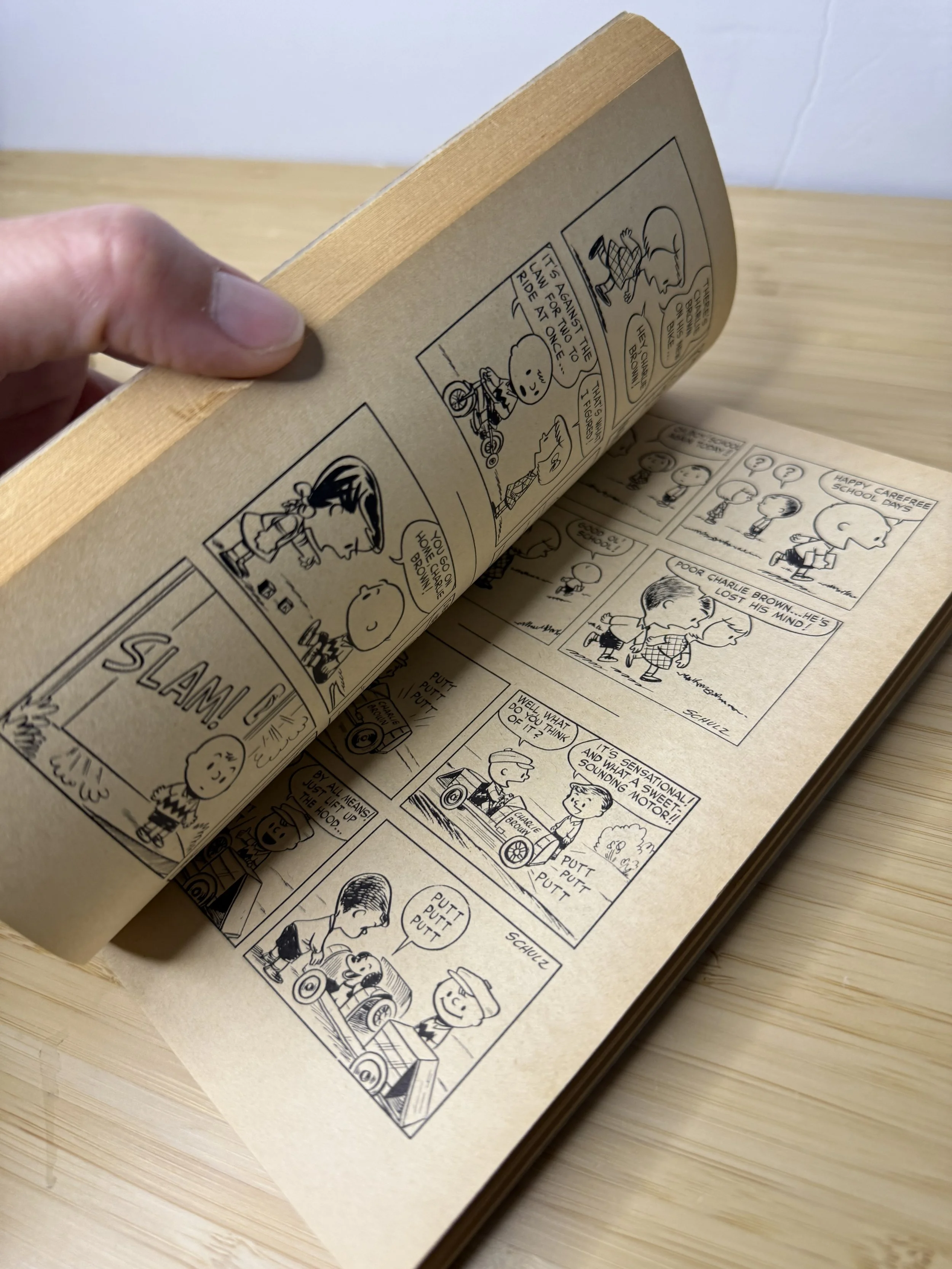 チャリーブラウン ディクショナリー スヌーピー☆チャーリー・ブラウン ディクショナリー大型本