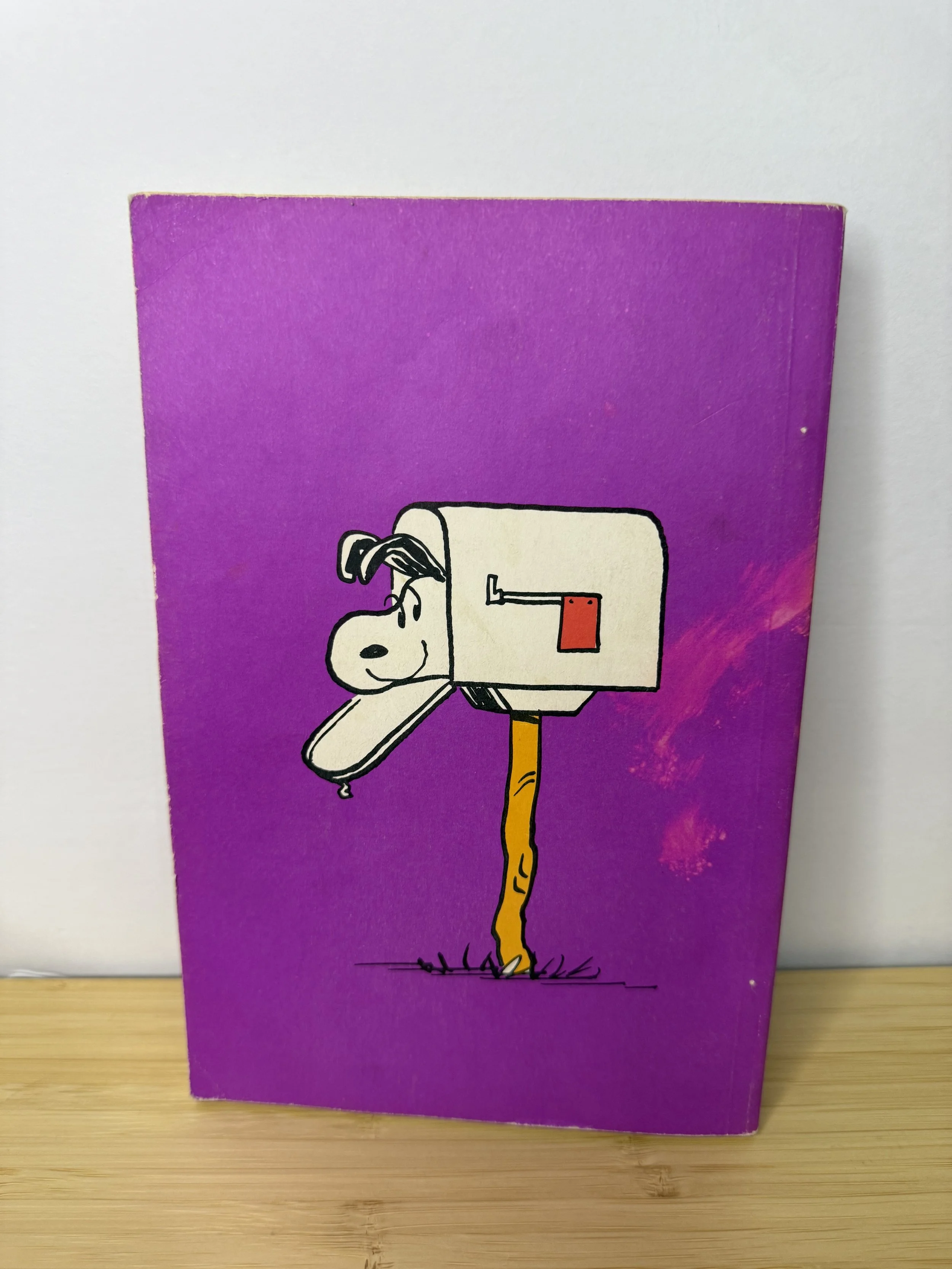 チャーリーブラウンディクショナリー　CharlieBrownDictionary 1973 Vintage 