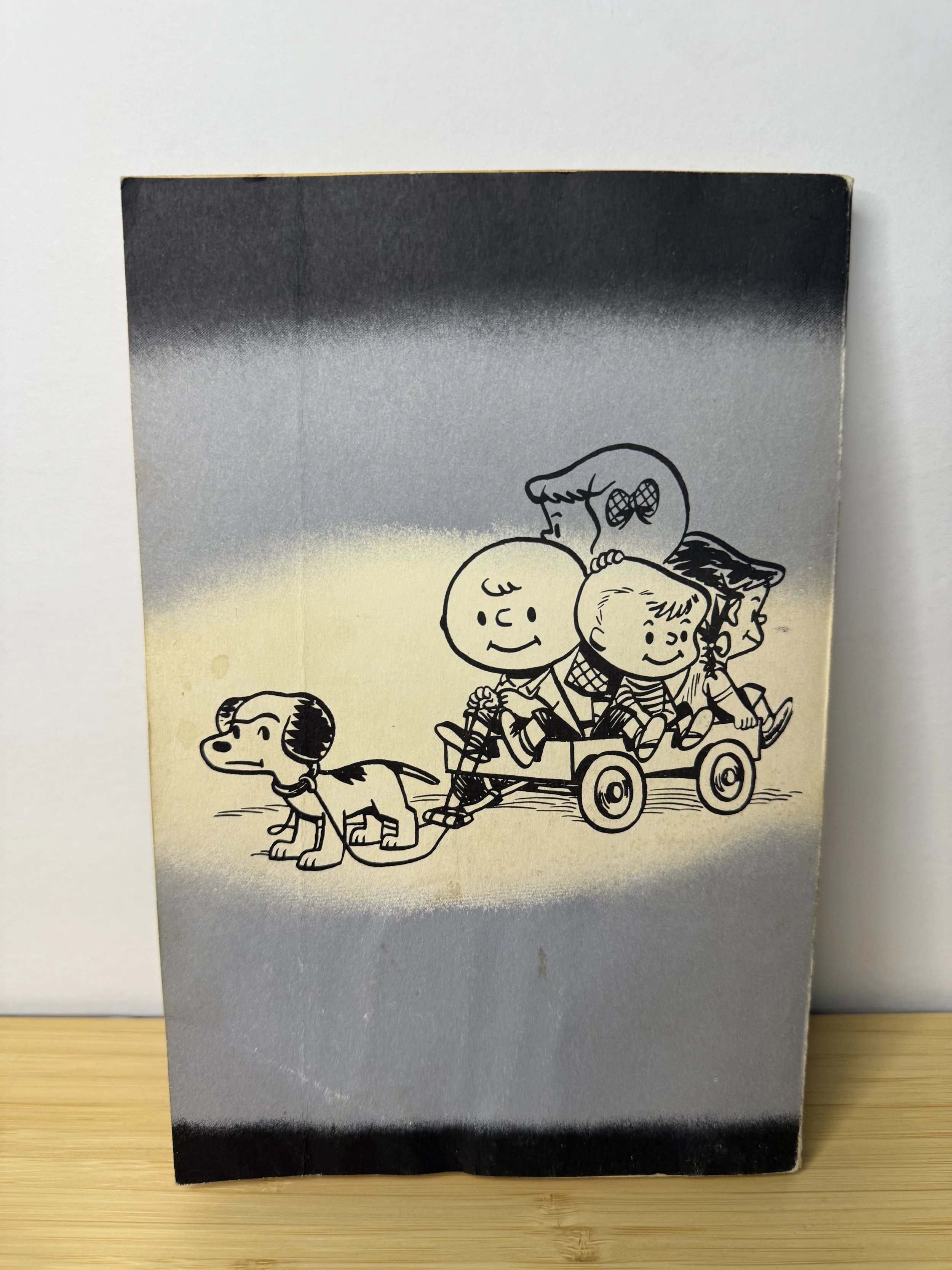 チャリーブラウン ディクショナリー スヌーピー☆チャーリー・ブラウン ディクショナリー大型本