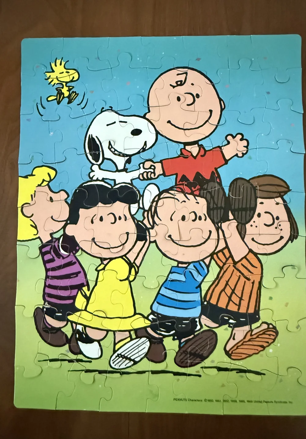 洋楽 Snoopy and His Friends The  洋楽 Snoopy and His Friends The Snoopy and His Friends the