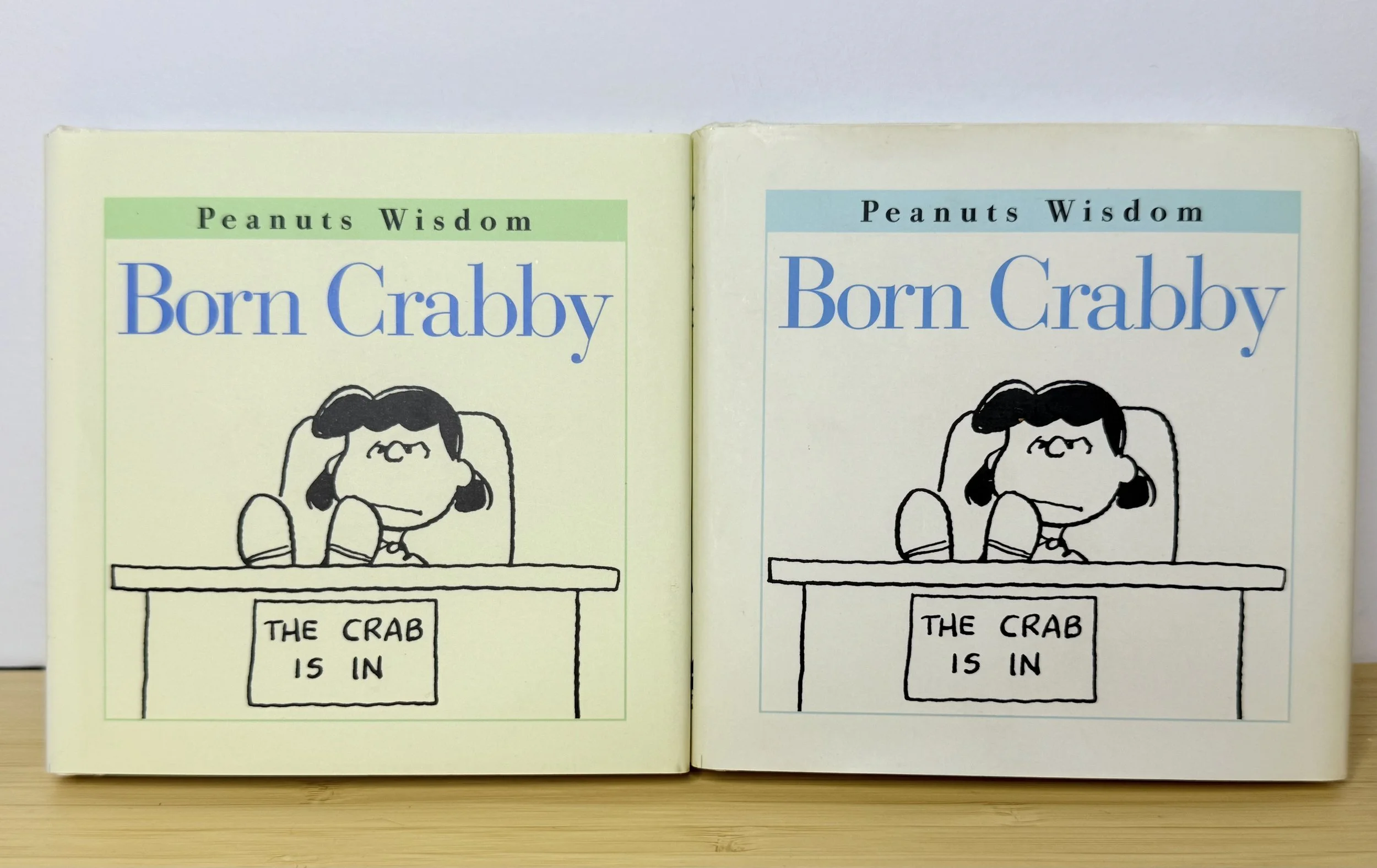 Charlie Brown Dictionary By Charles Schulz — Selling Peanuts