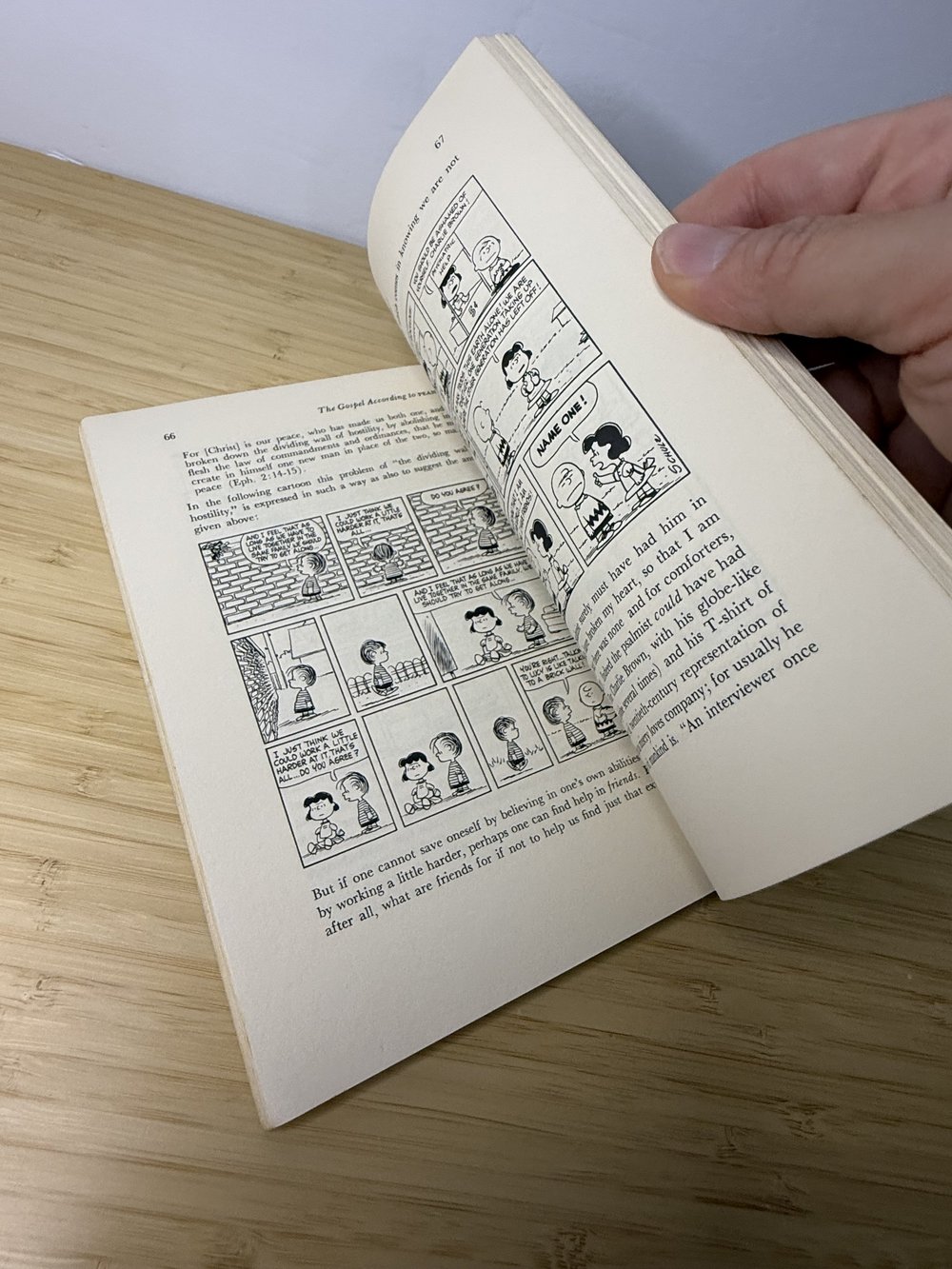 Peanuts Books by Robert L. Short and Charles Schulz — Selling Peanuts