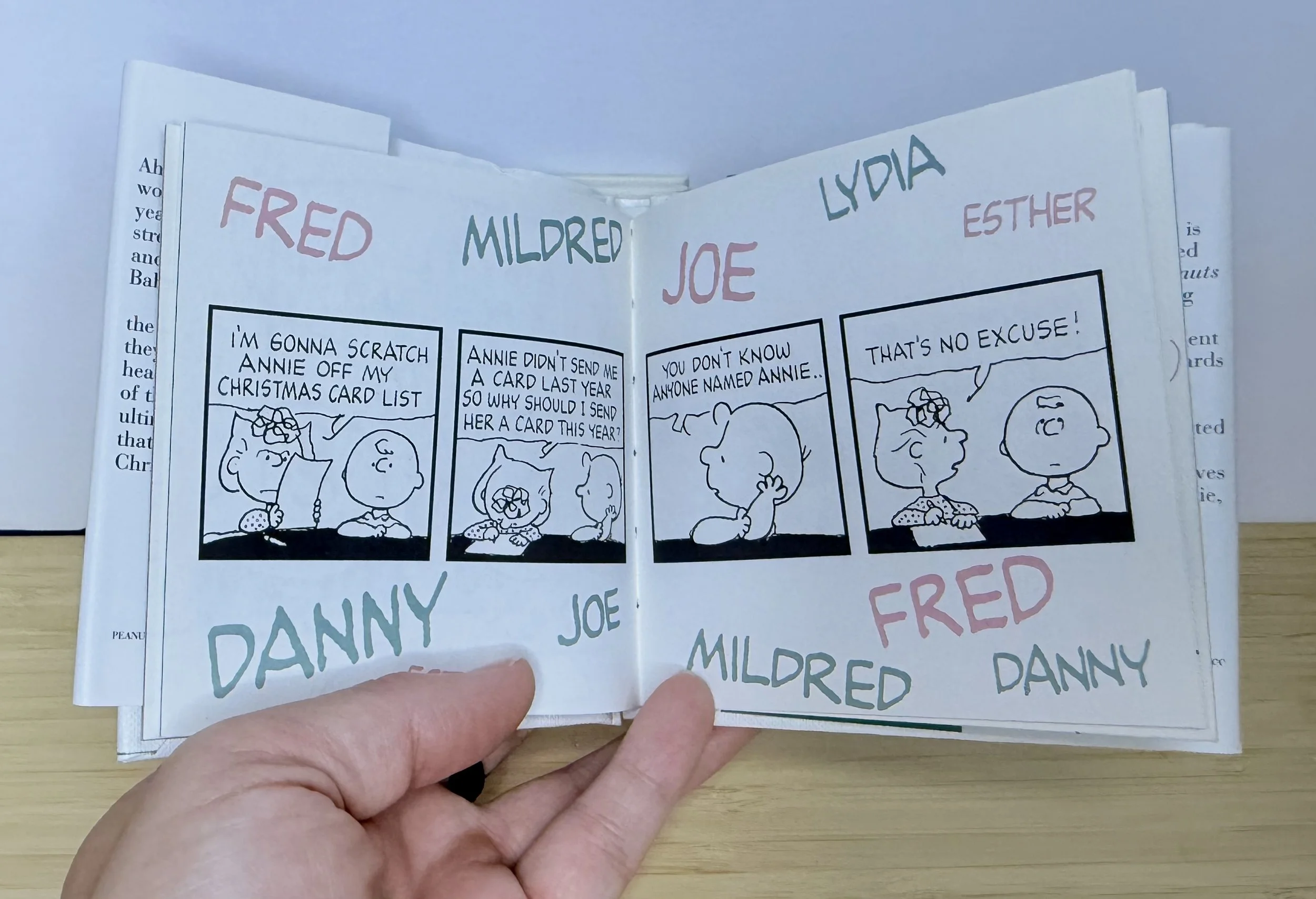 チャリーブラウン ディクショナリー The Charlie Brown Dictionary by Charles Schulz - Vintage