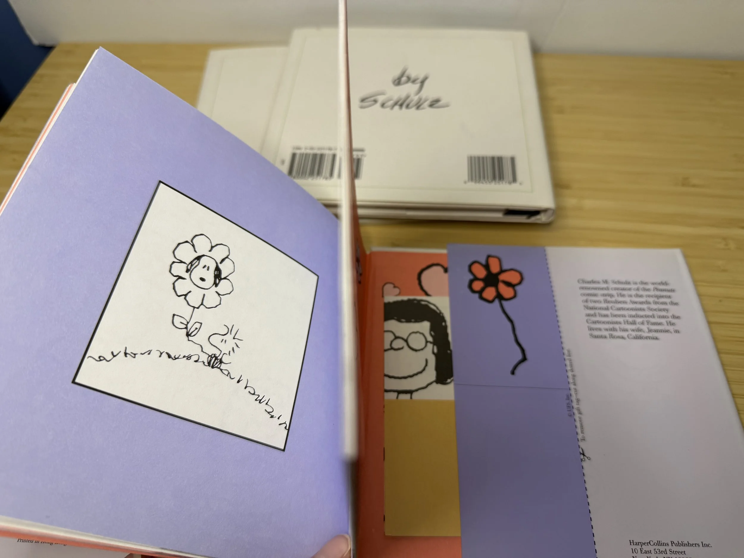 Charlie Brown Dictionary By Charles Schulz — Selling Peanuts