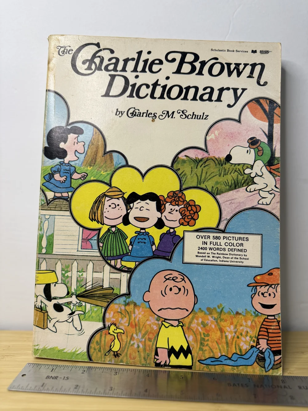 Charlie Brown Dictionary By Charles Schulz — Selling Peanuts