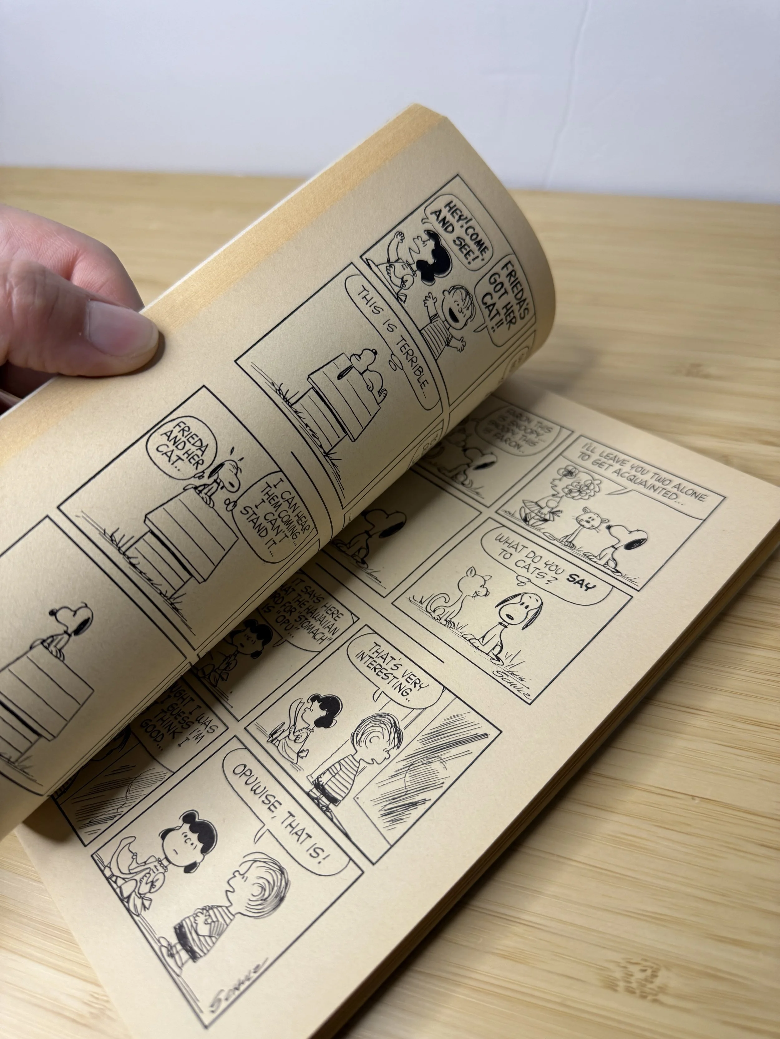 Charlie Brown Dictionary By Charles Schulz — Selling Peanuts