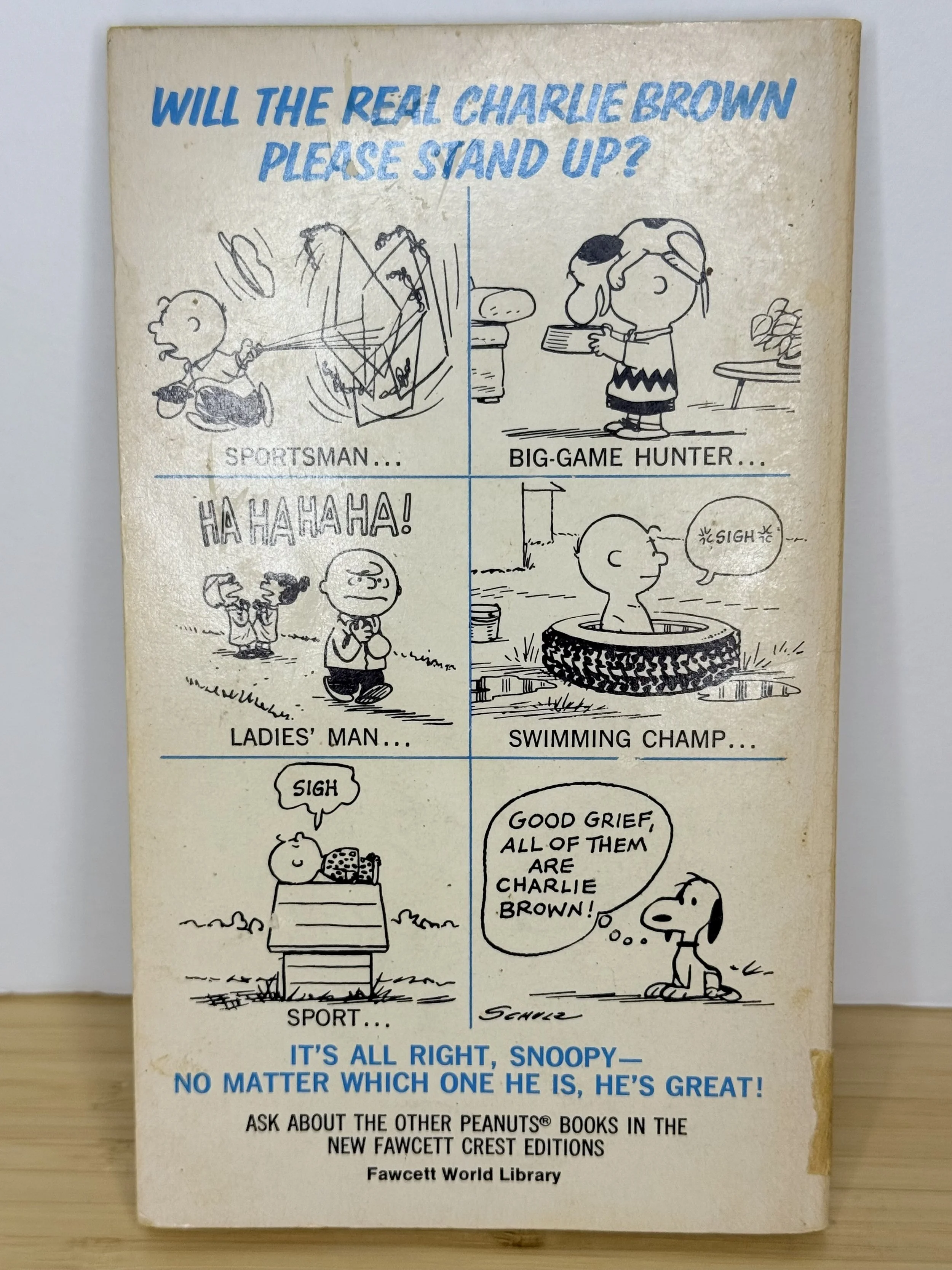 チャリーブラウン ディクショナリー The Charlie Brown Dictionary - ShopCollectPeanuts.com