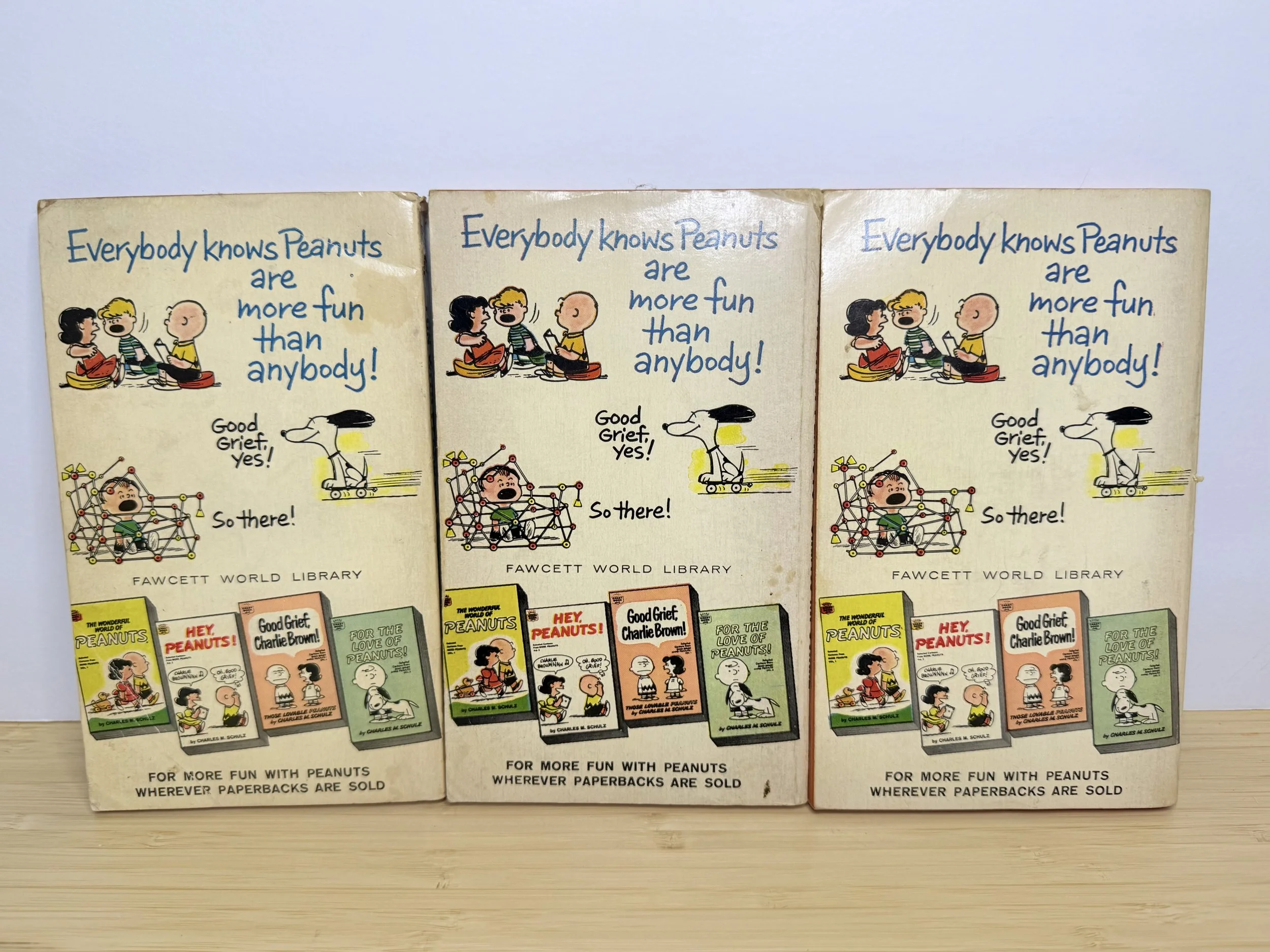 Charlie Brown Dictionary By Charles Schulz — Selling Peanuts