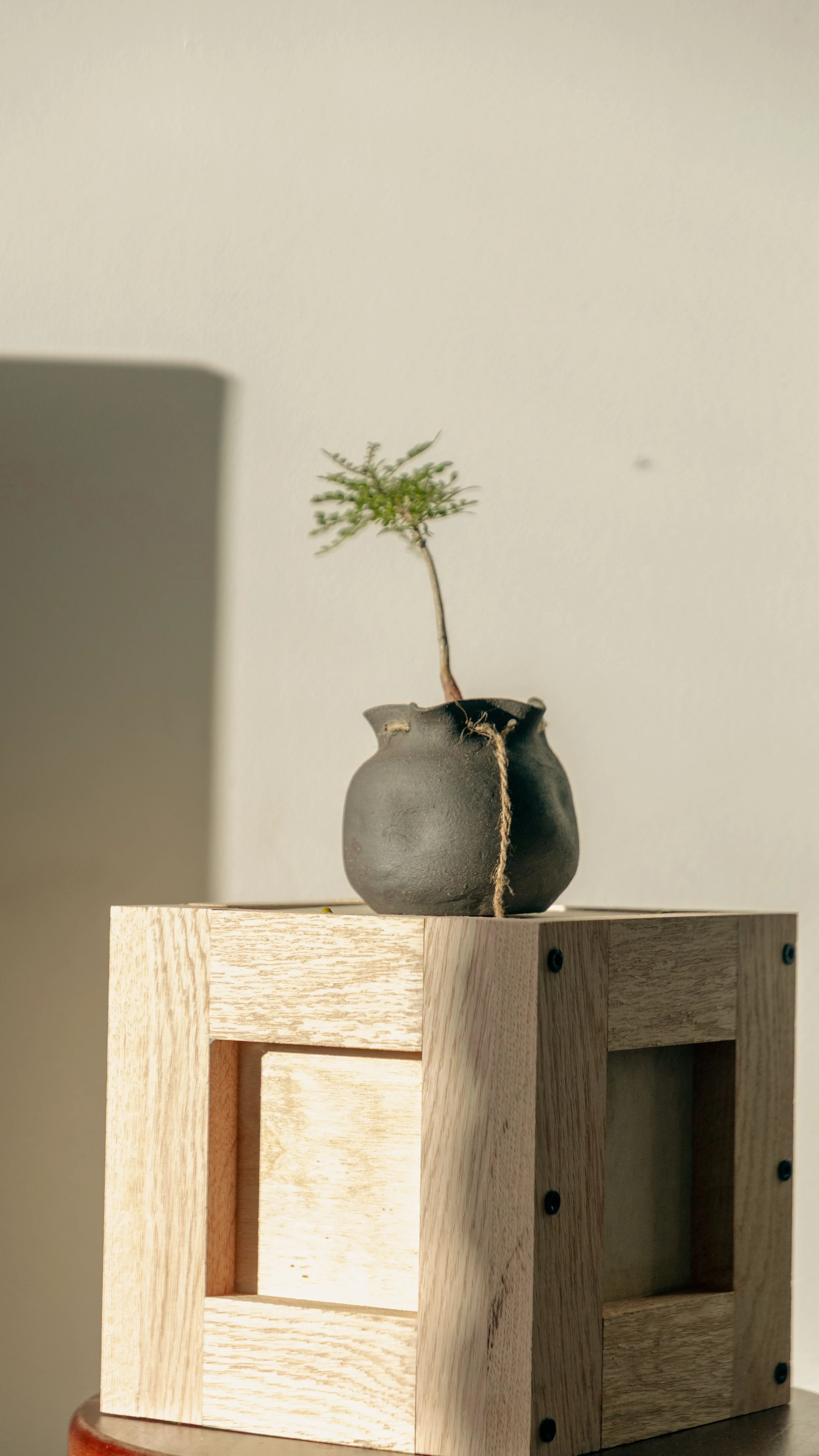 sack sunset loft shoot olive and sand-39.jpg