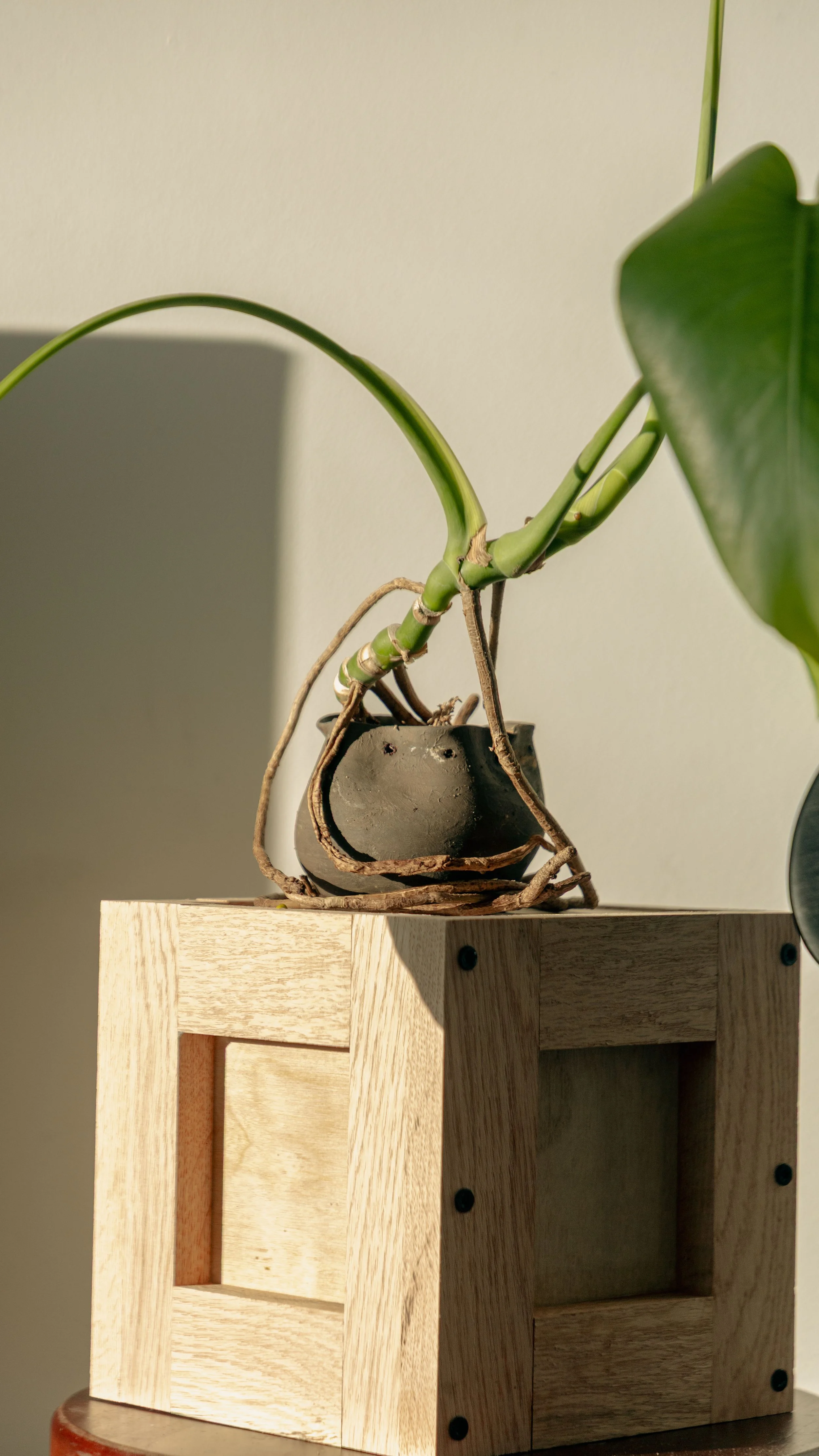 Handcrafted Ceramic Vase