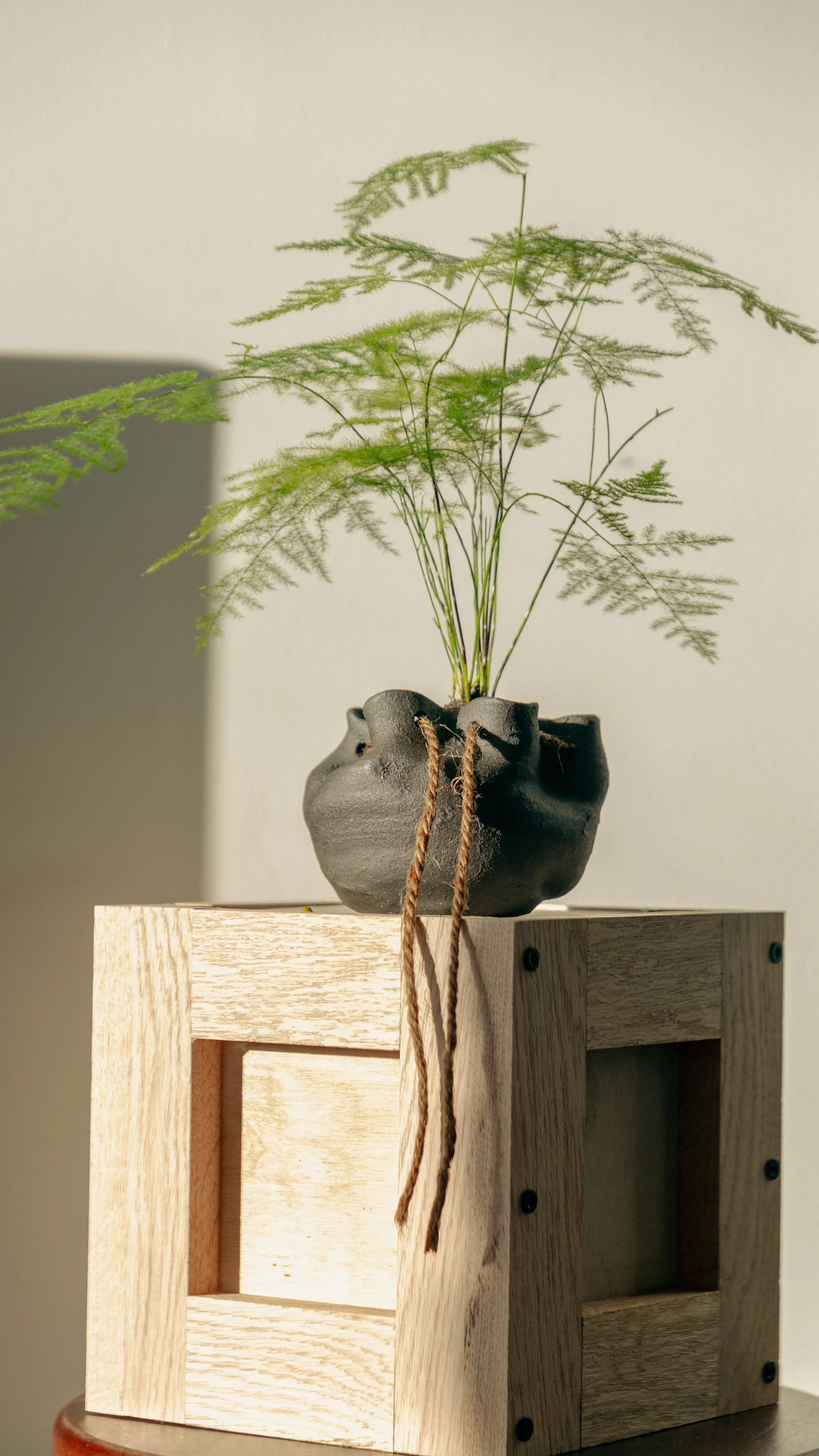 Ceramic Vase