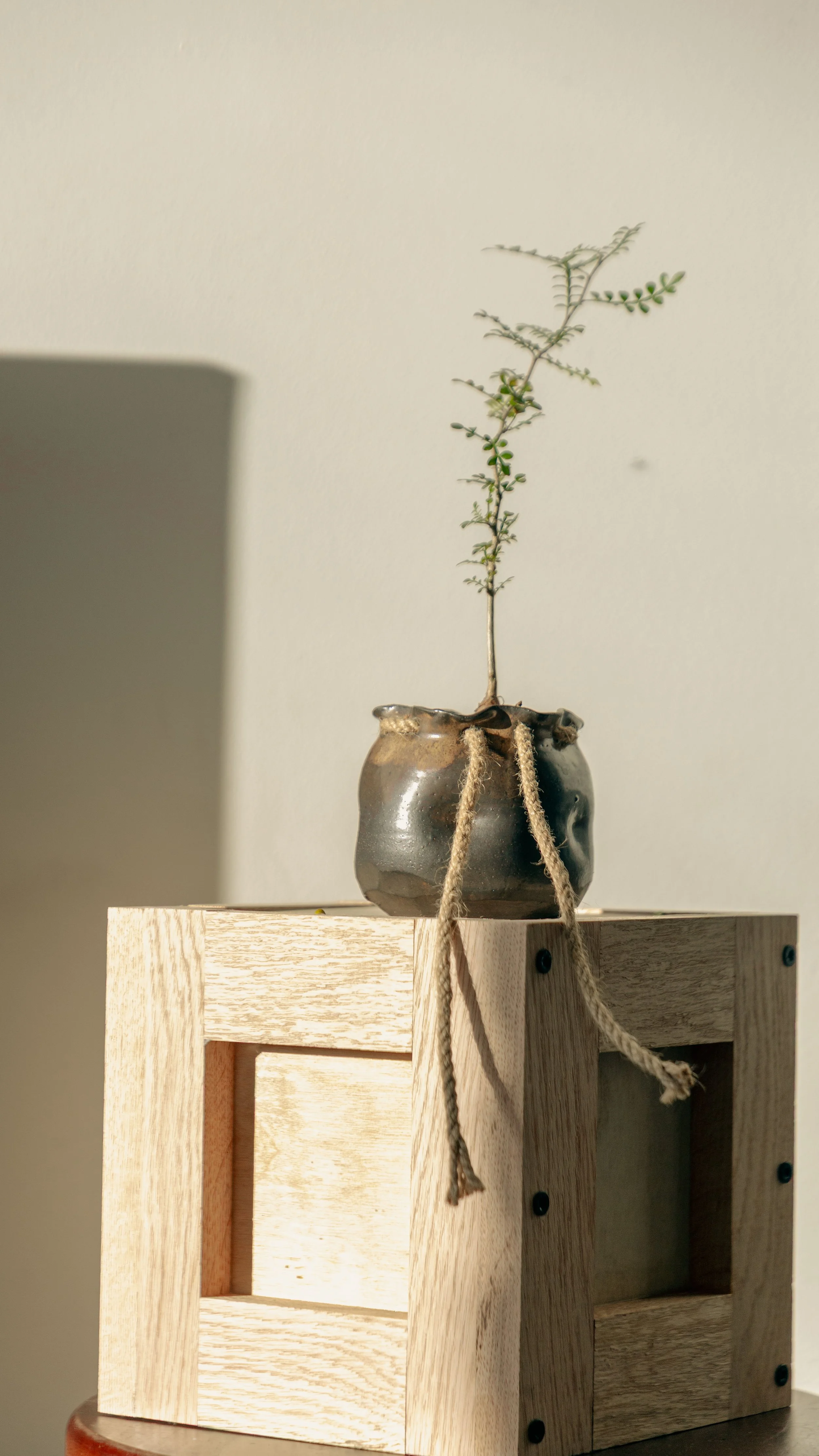 sack sunset loft shoot olive and sand-12.jpg
