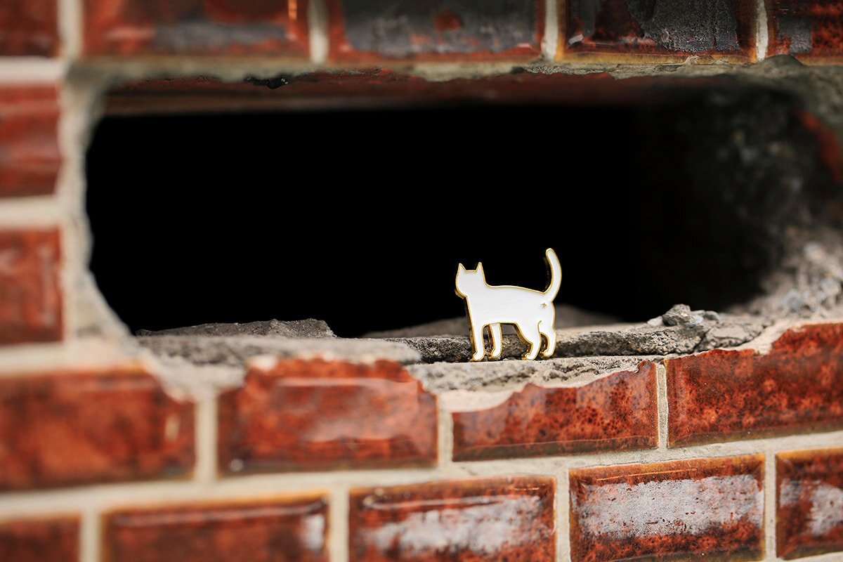 Cat_03.jpg