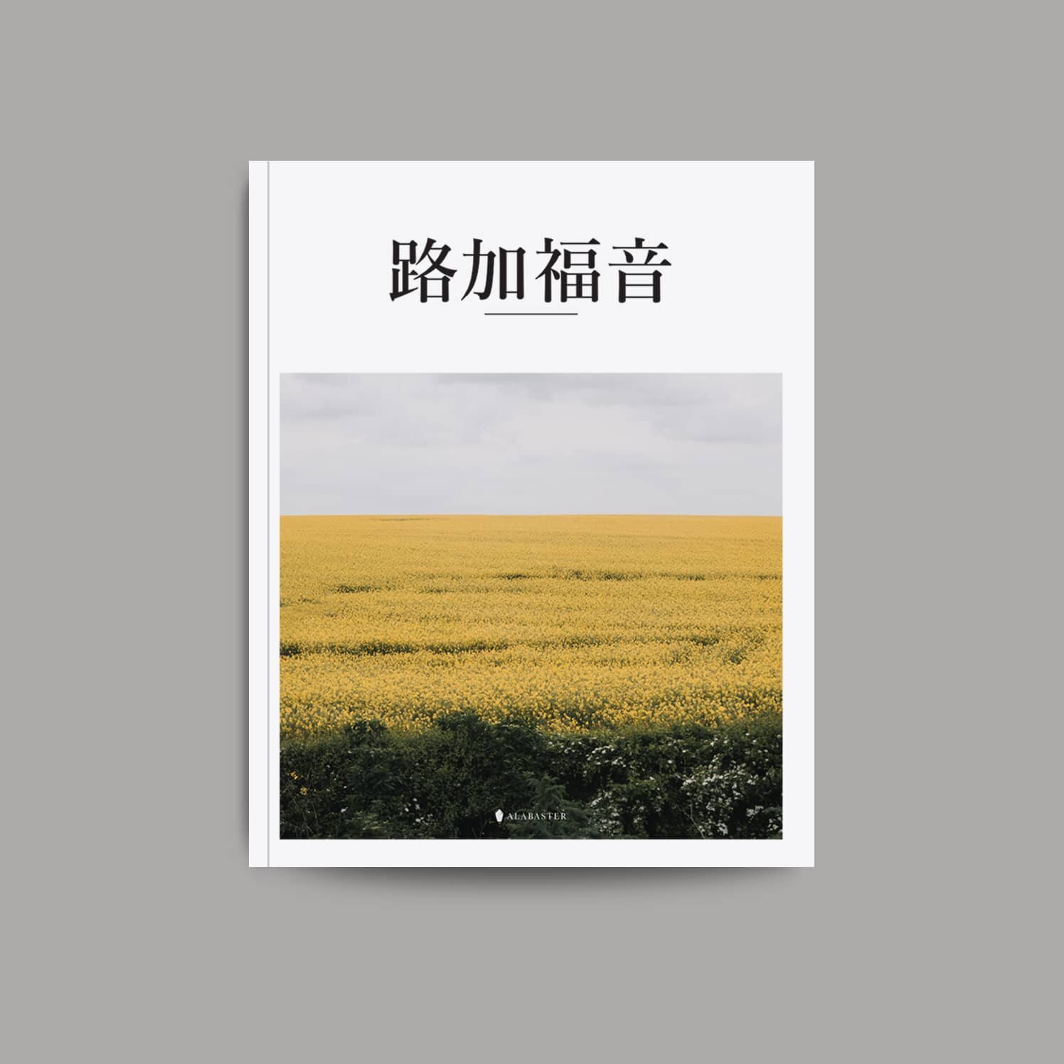 Luke_Softcover_CUV+-+Squre.jpg