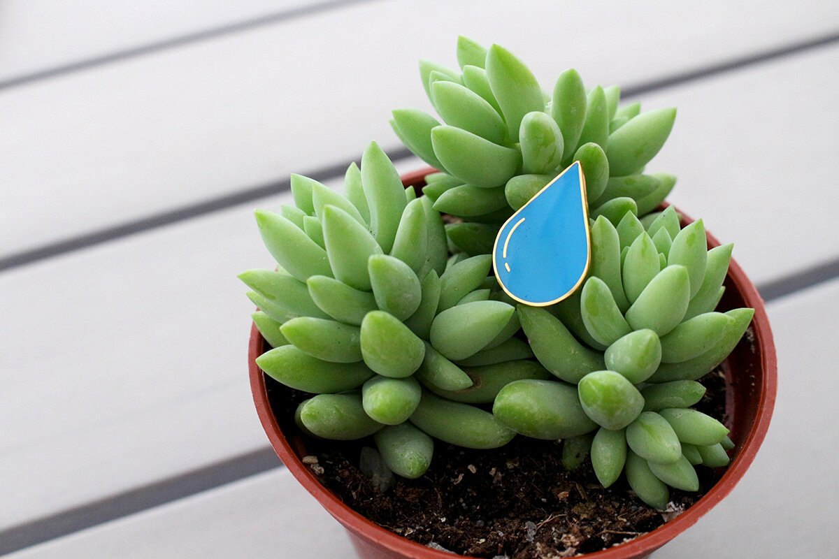 Raindrop_04.jpg