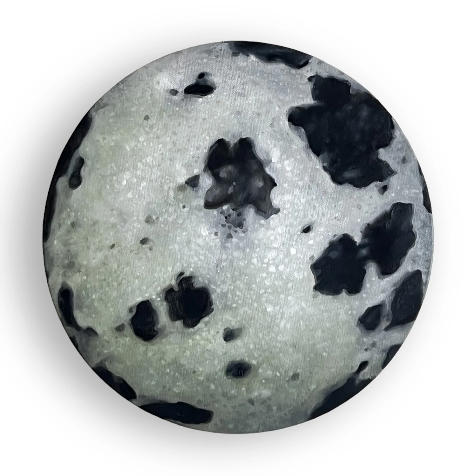 Dalmatian