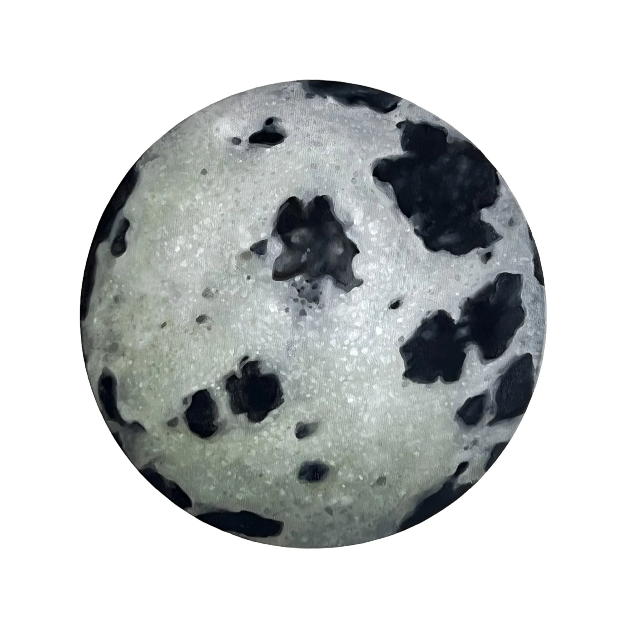 dalmatian.JPG