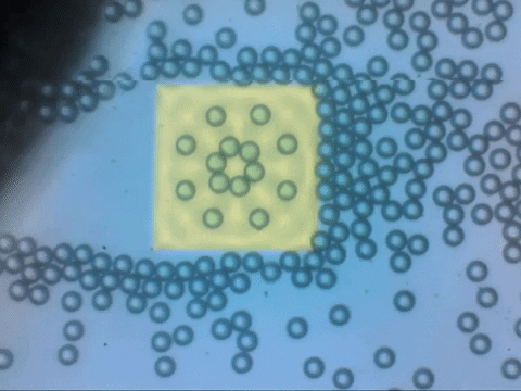 droplet-grid.gif