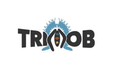 Tricob logo featuring a blue stylized robot face with antennae, above the word 'TRICOB' in bold black letters.