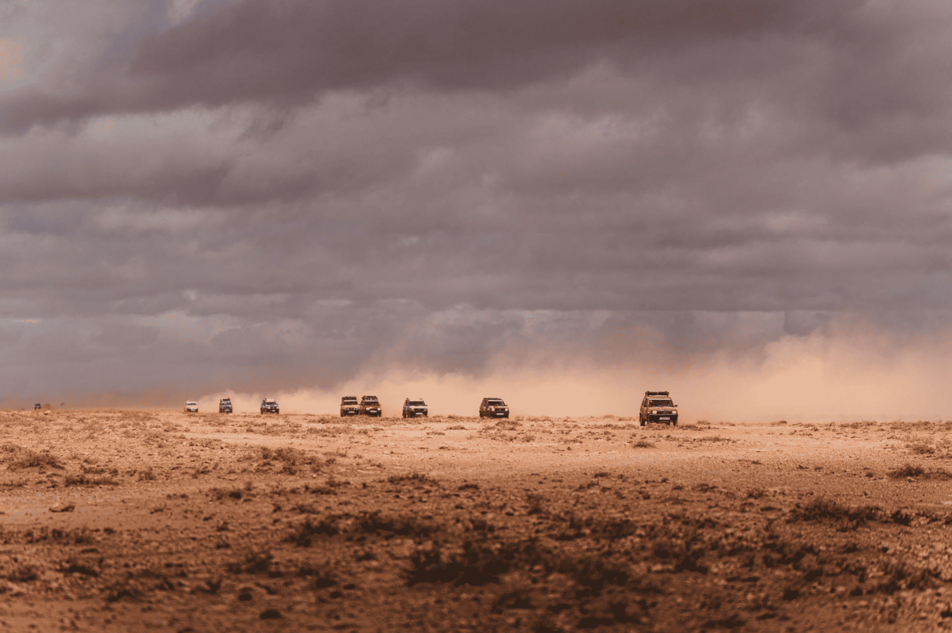 Panda Raid: la experiencia en Marruecos que va más allá de un rally