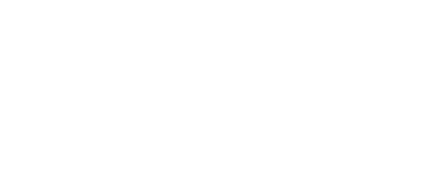Danispeedy.co
