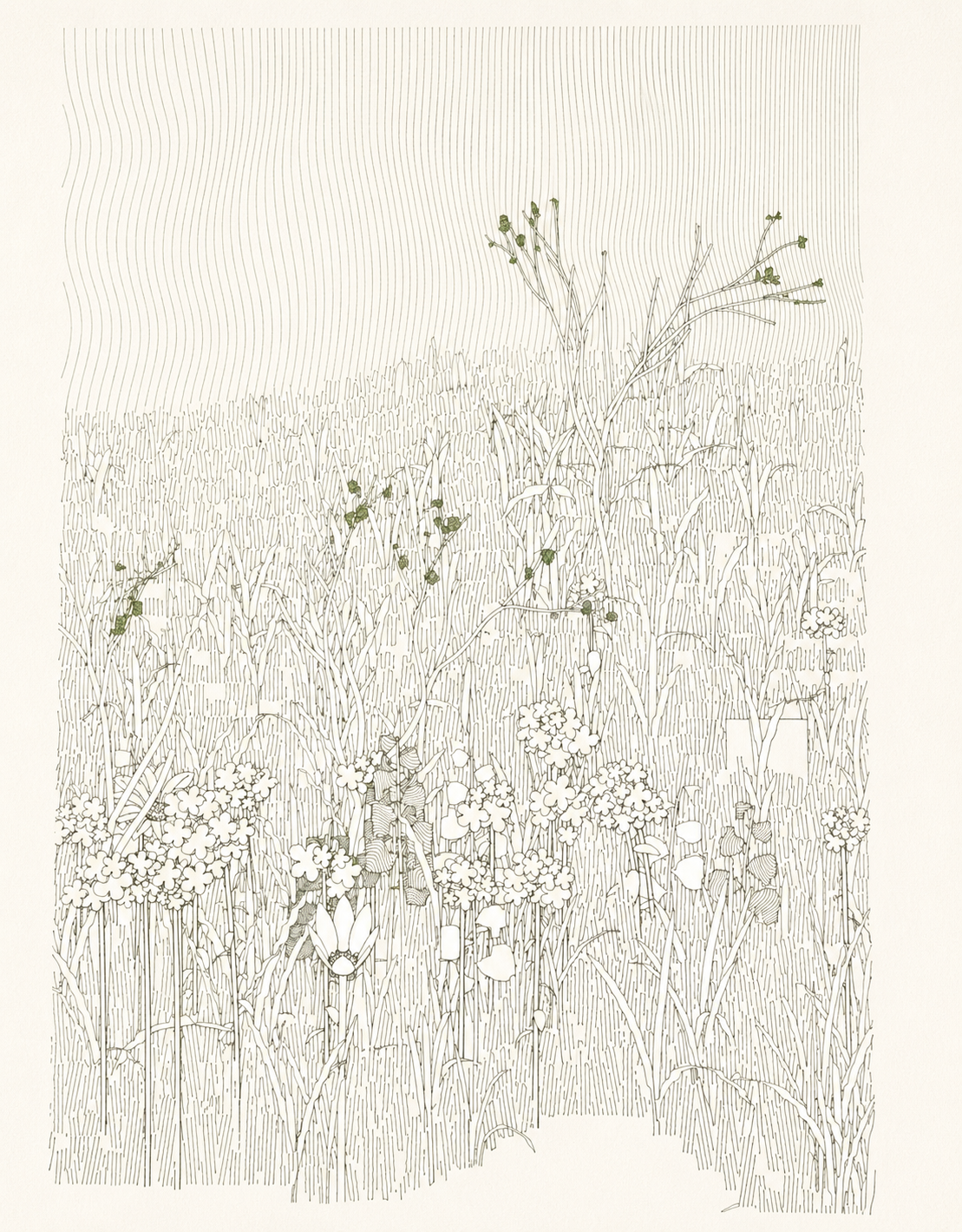 Performance with plotter, 2023