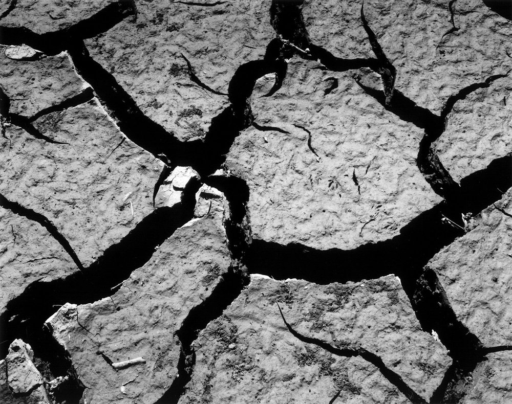 Untitled (Mud Cracks, Mexico), 1967 