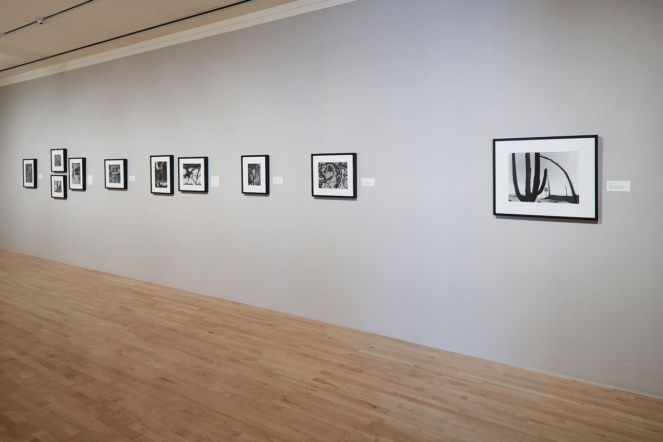 ‘Brett Weston’ Review: Images of Mystery
