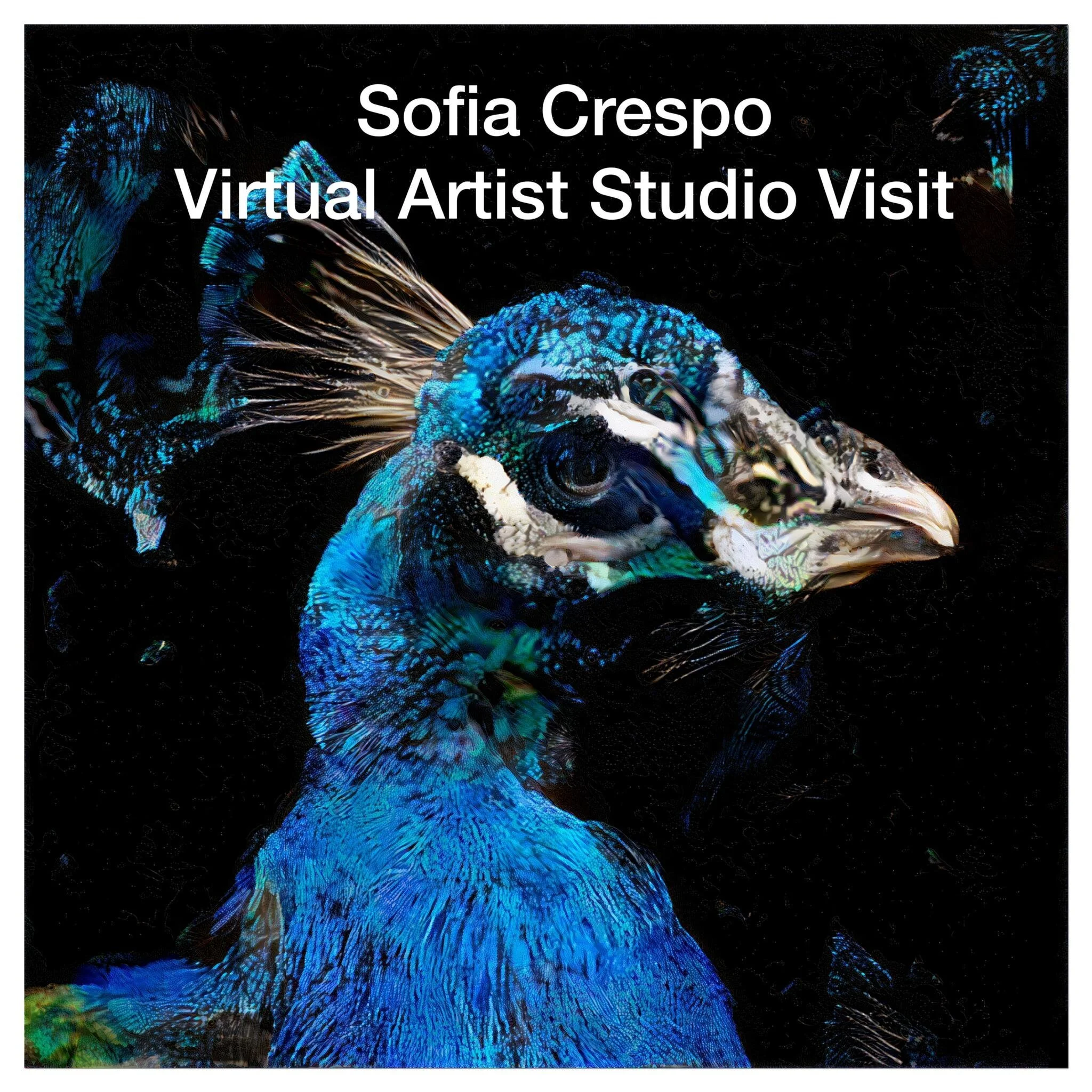 OFFICIAL LAUNCH OF our new video series as KVG Virtual Artist Studio visits - TODAY WITH SOFIA CRESPO FROM HER STUDIO IN BERLIN, GERMANY!