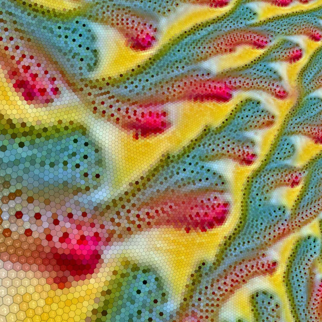 Alexander Mordvintsev at After the Algorithm