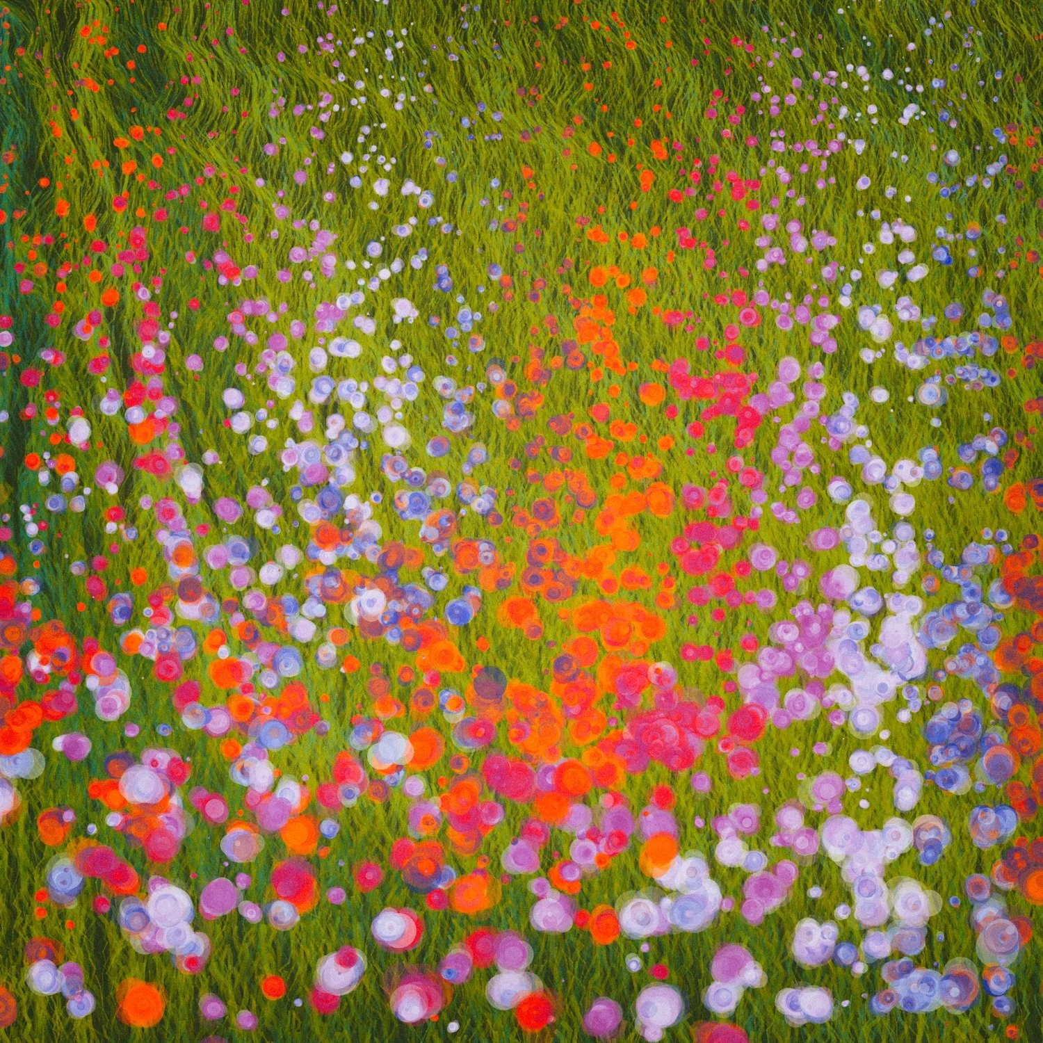 When Code Blooms: The Flower as a Generative System