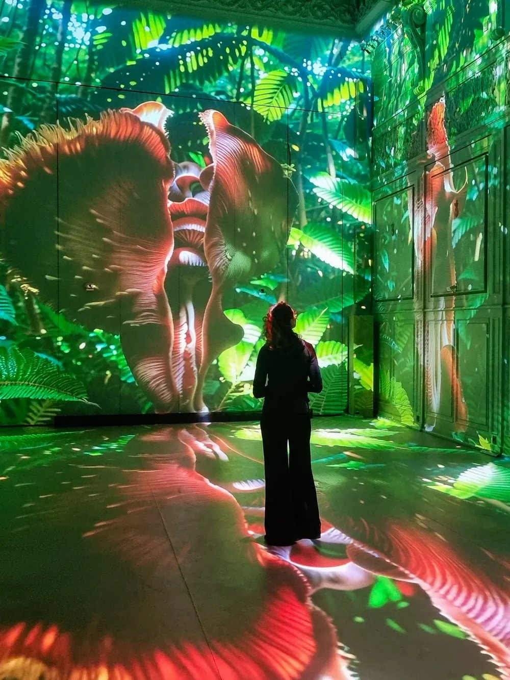 Memo Akten &amp; Katie Hofstadter at Mesh Festival 2026