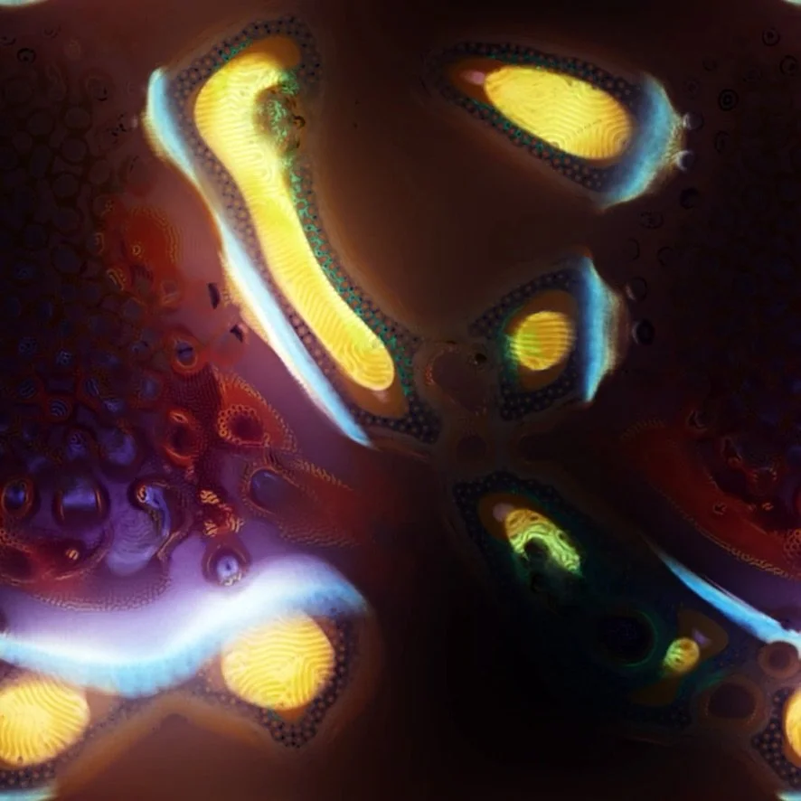 Jonathan McCabe, Evolved Turing Pattern #3, 2026
