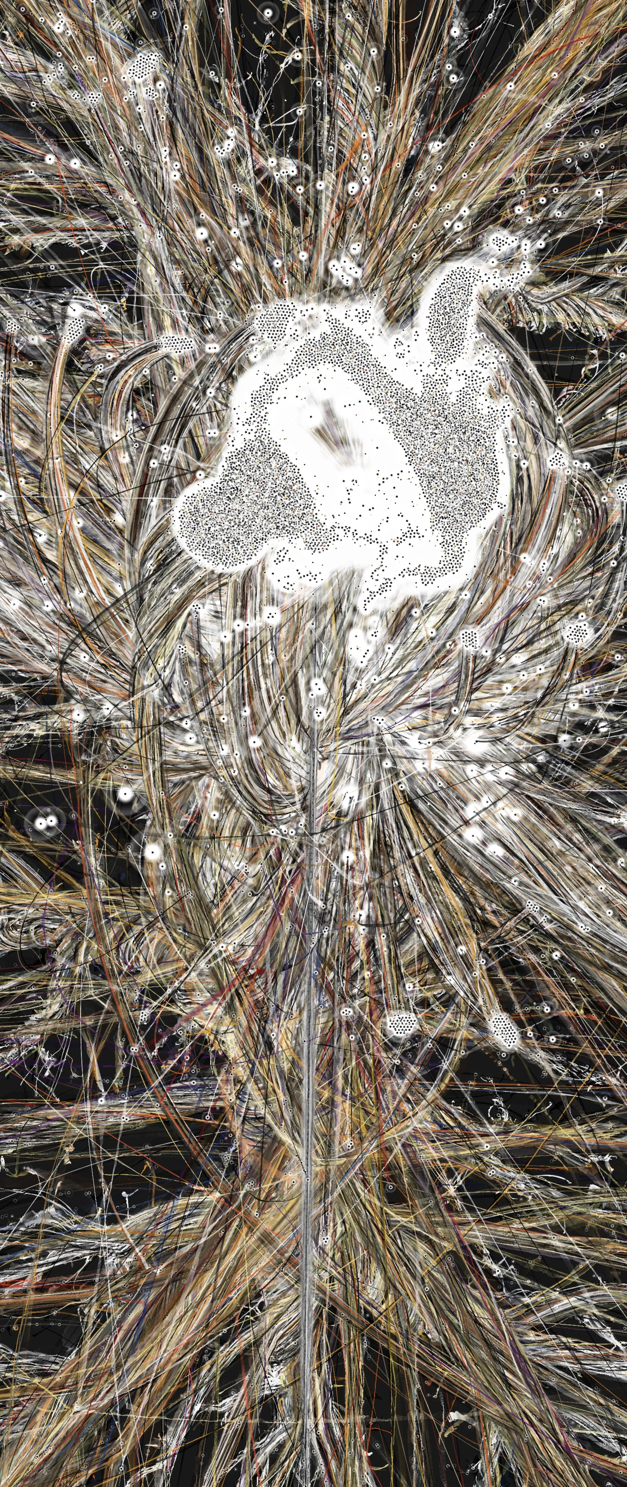 jstarbell_gravity_print_06.jpg