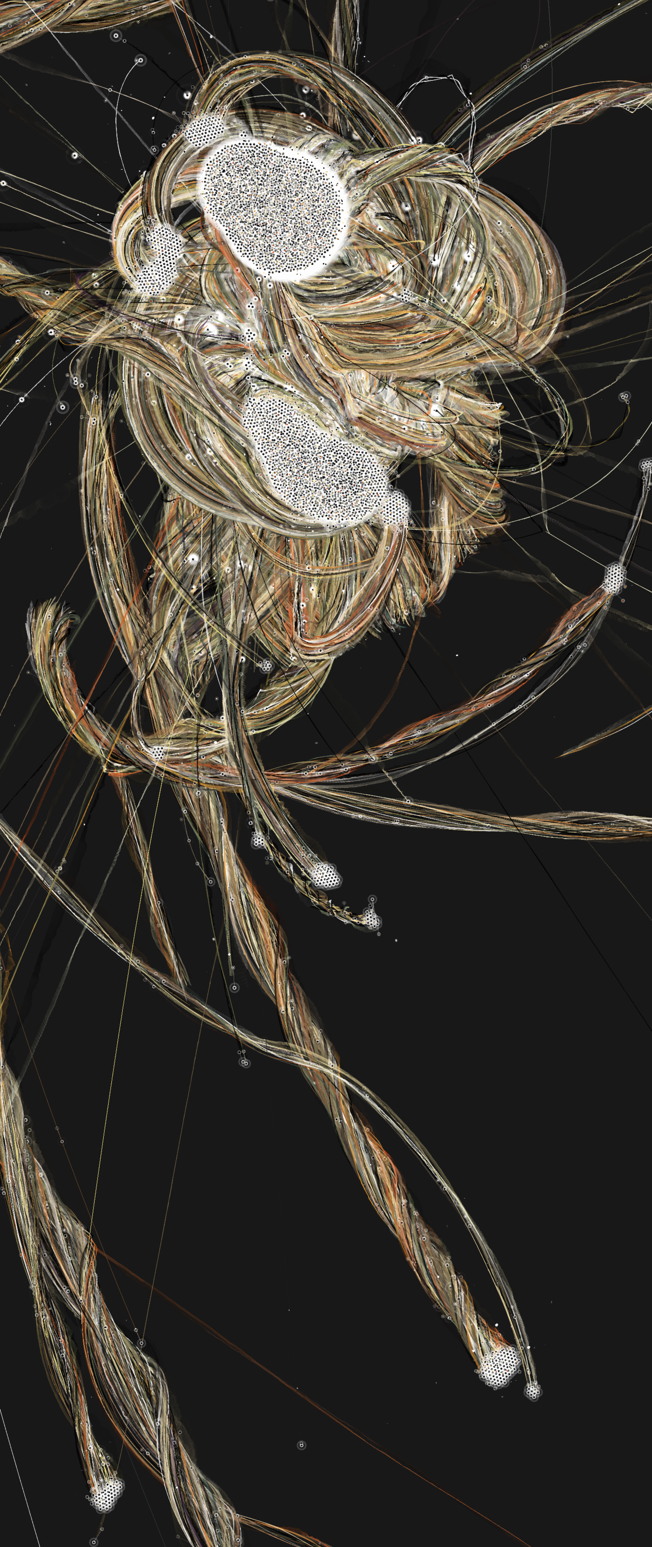 Jared S. Tarbell, Gravity #02, 2026